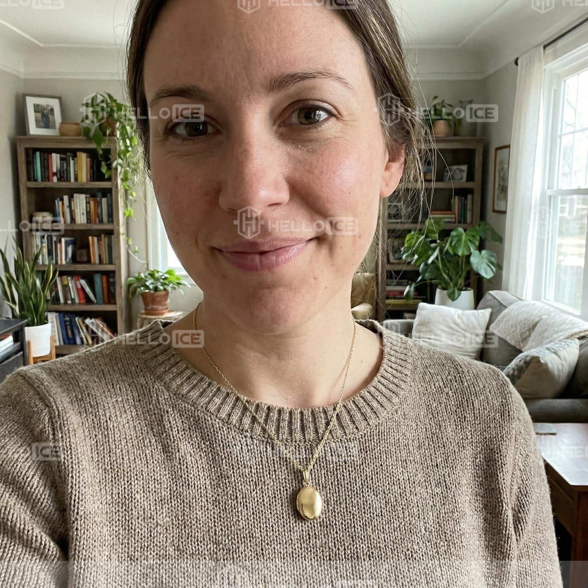 Helloice Review Image