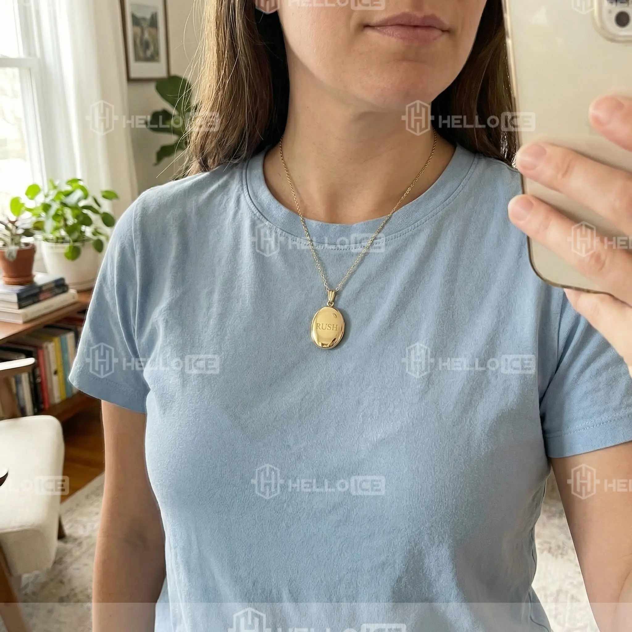 Helloice Review Image