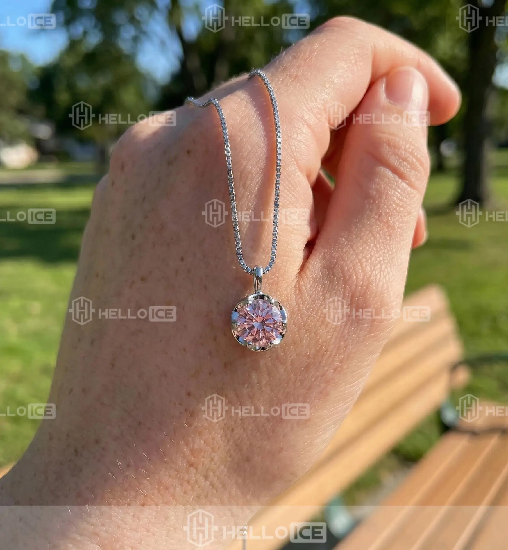 Helloice Review Image