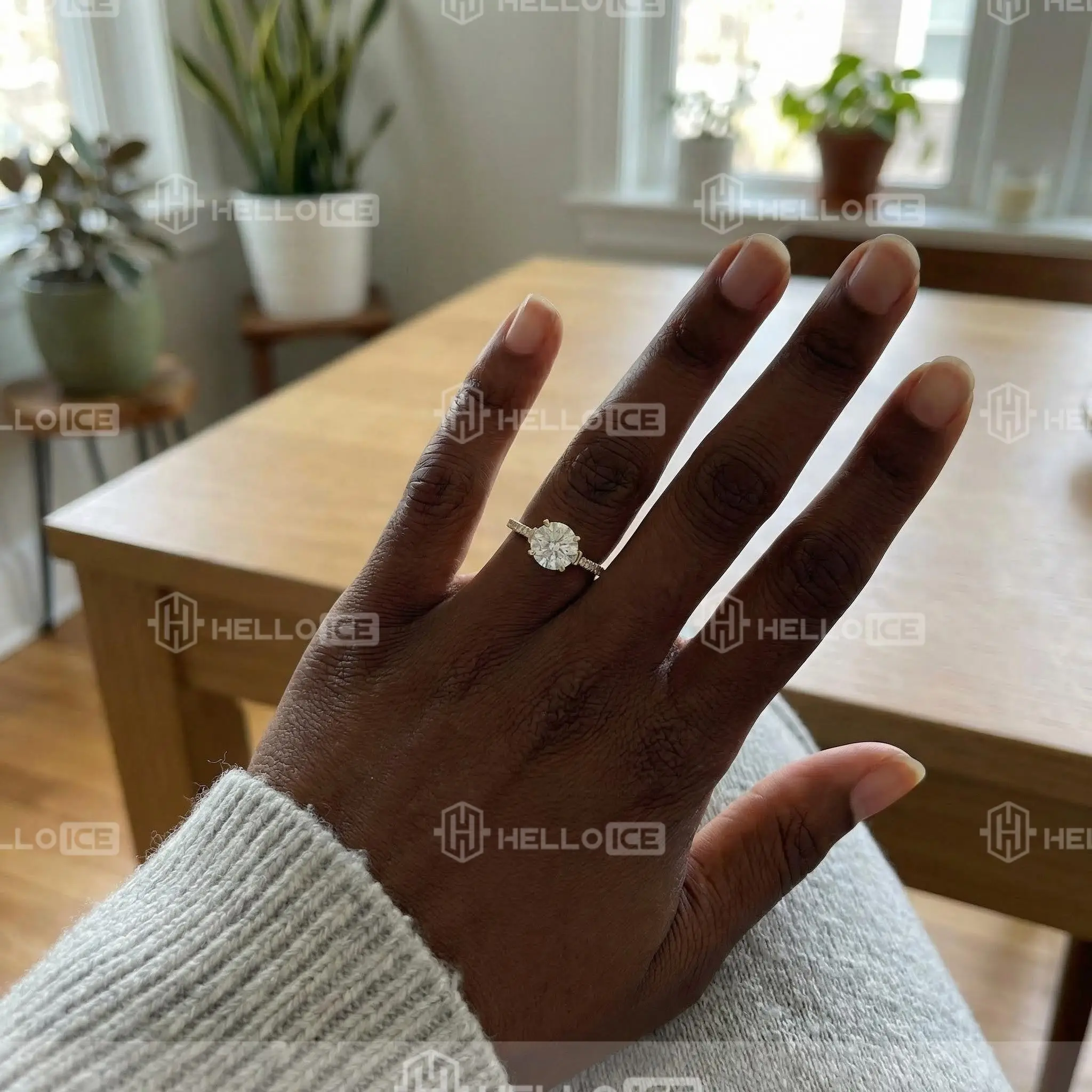 Helloice Review Image