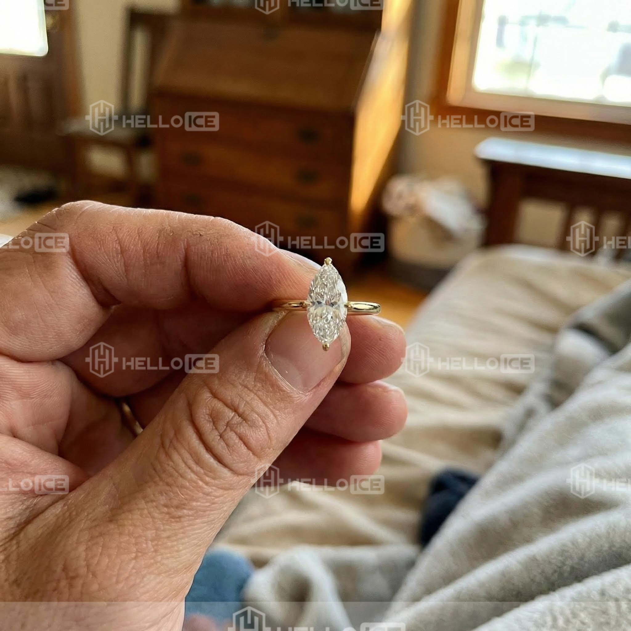 Helloice Review Image