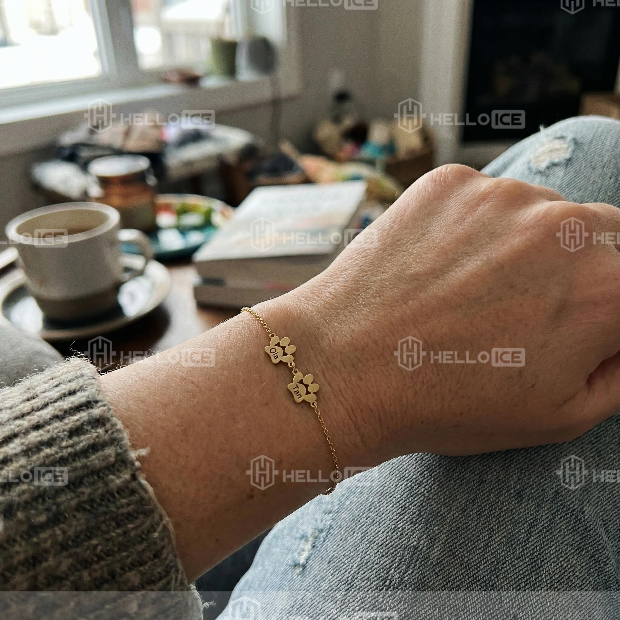 Helloice Review Image