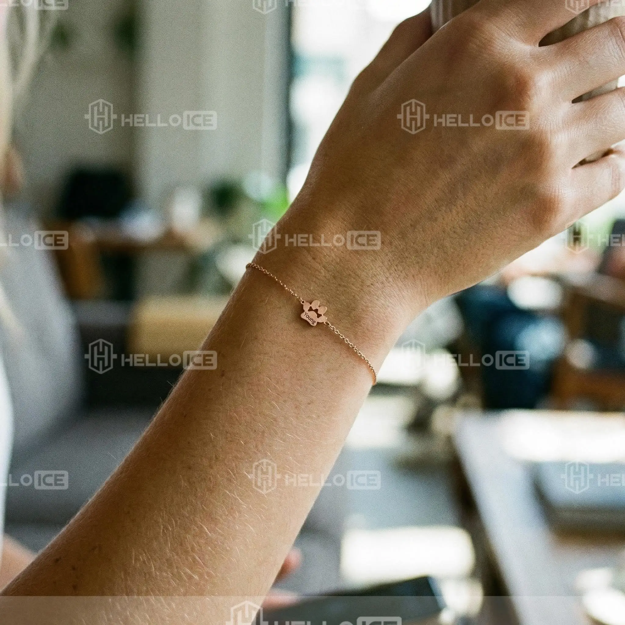 Helloice Review Image