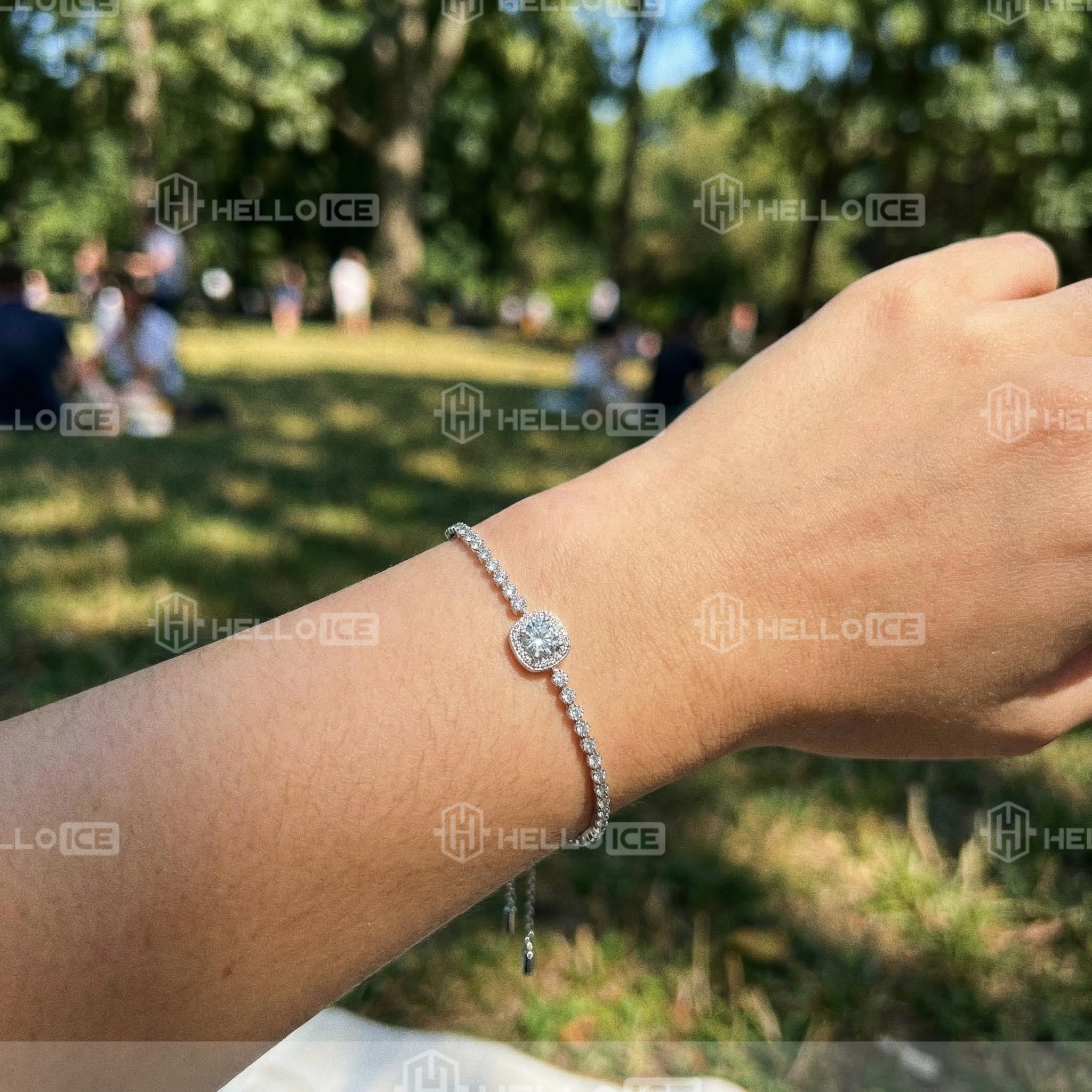 Helloice Review Image