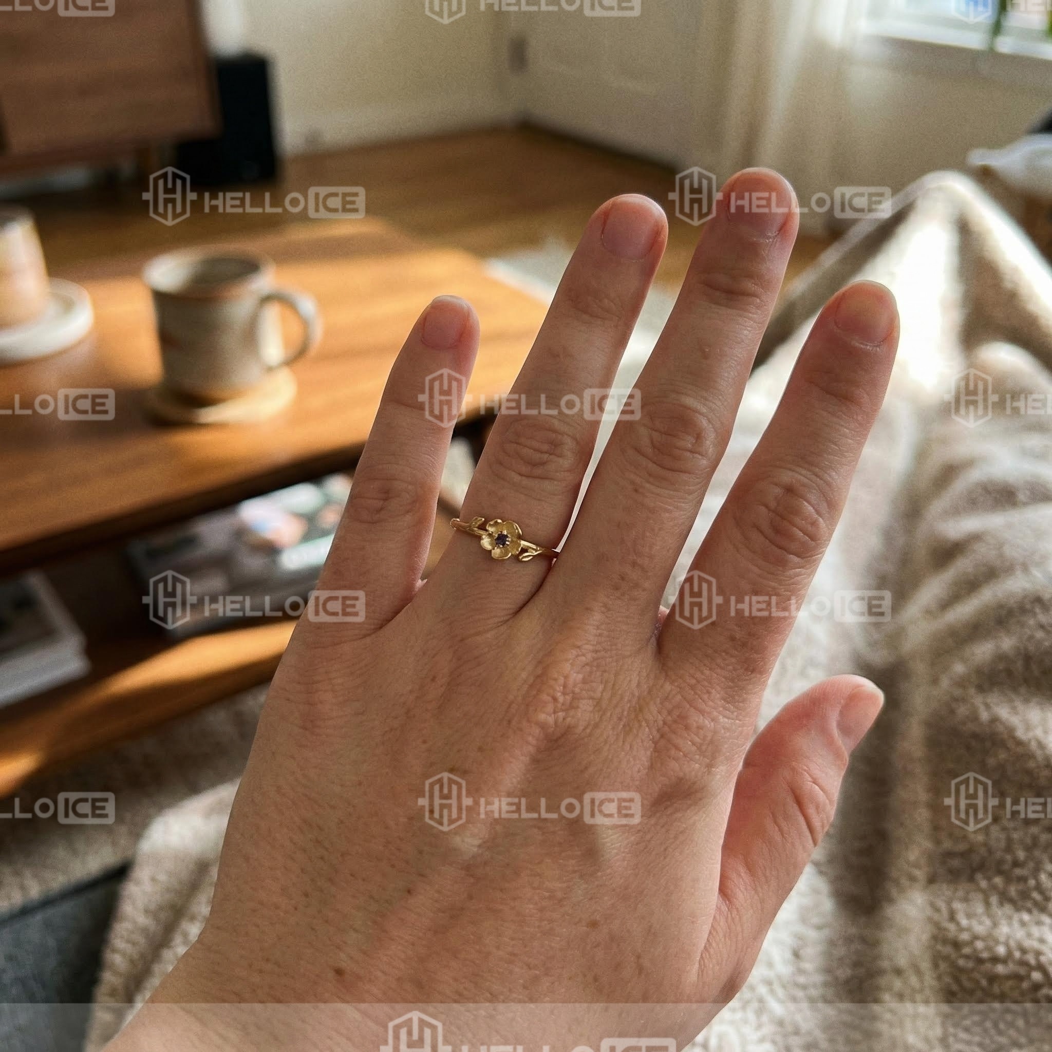 Helloice Review Image