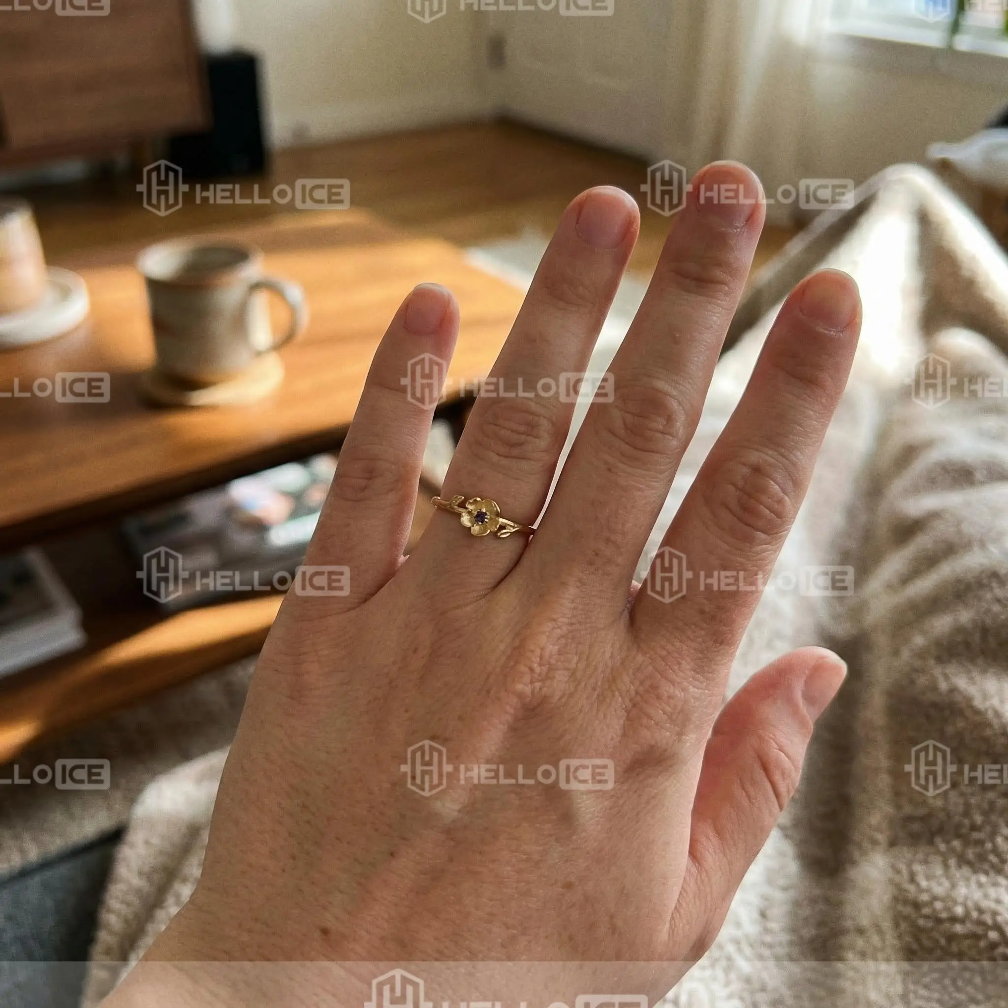 Helloice Review Image