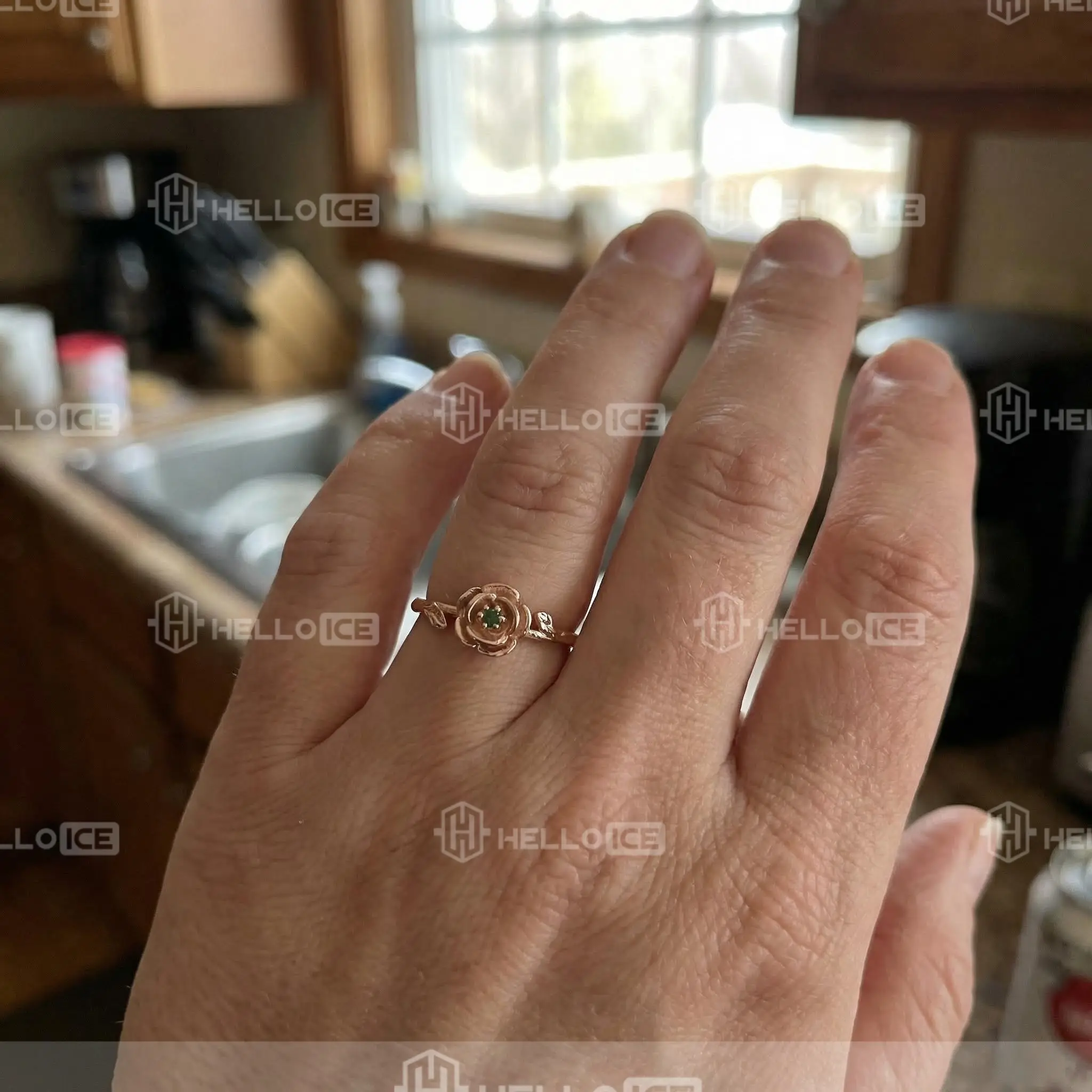 Helloice Review Image