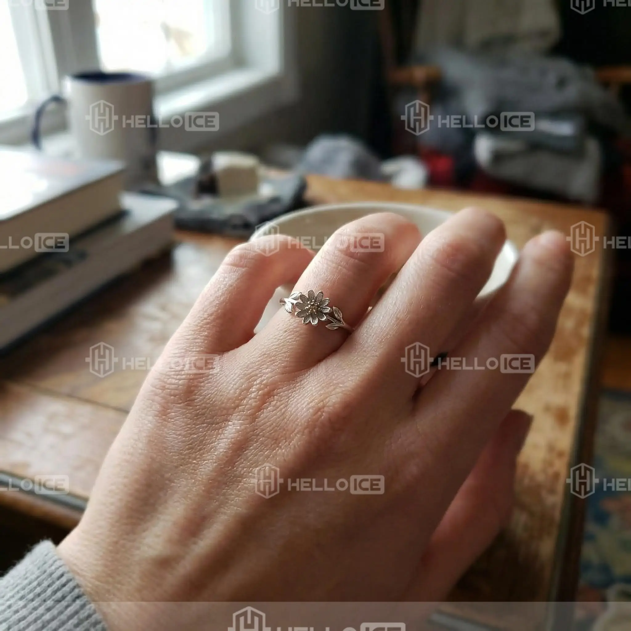 Helloice Review Image