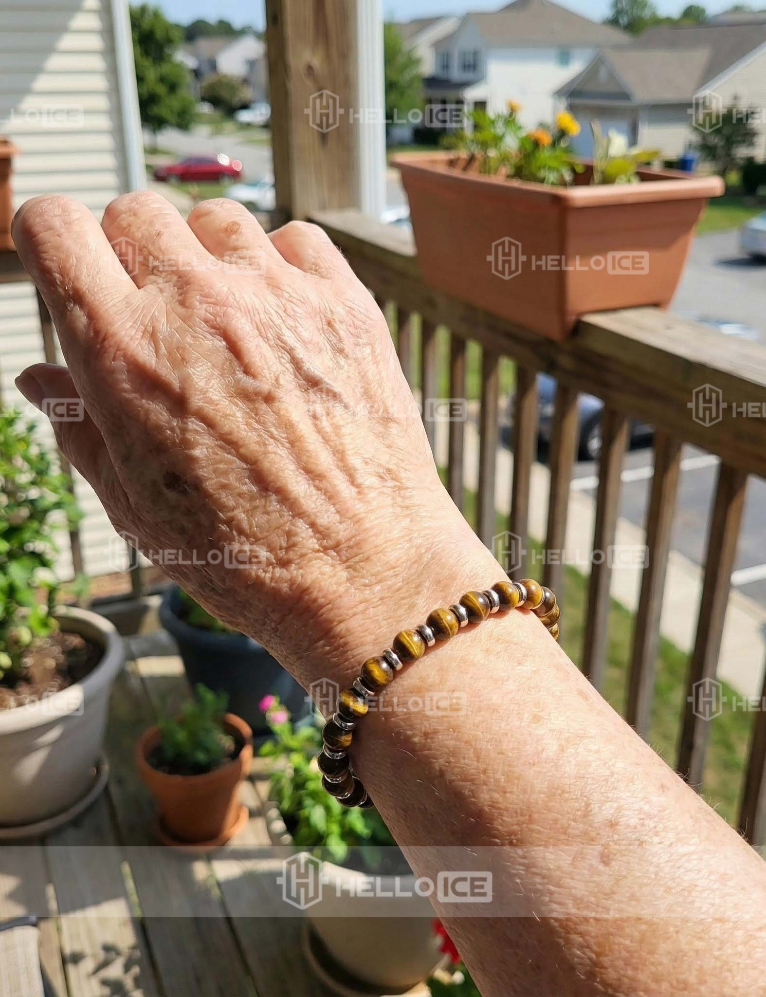 Helloice Review Image