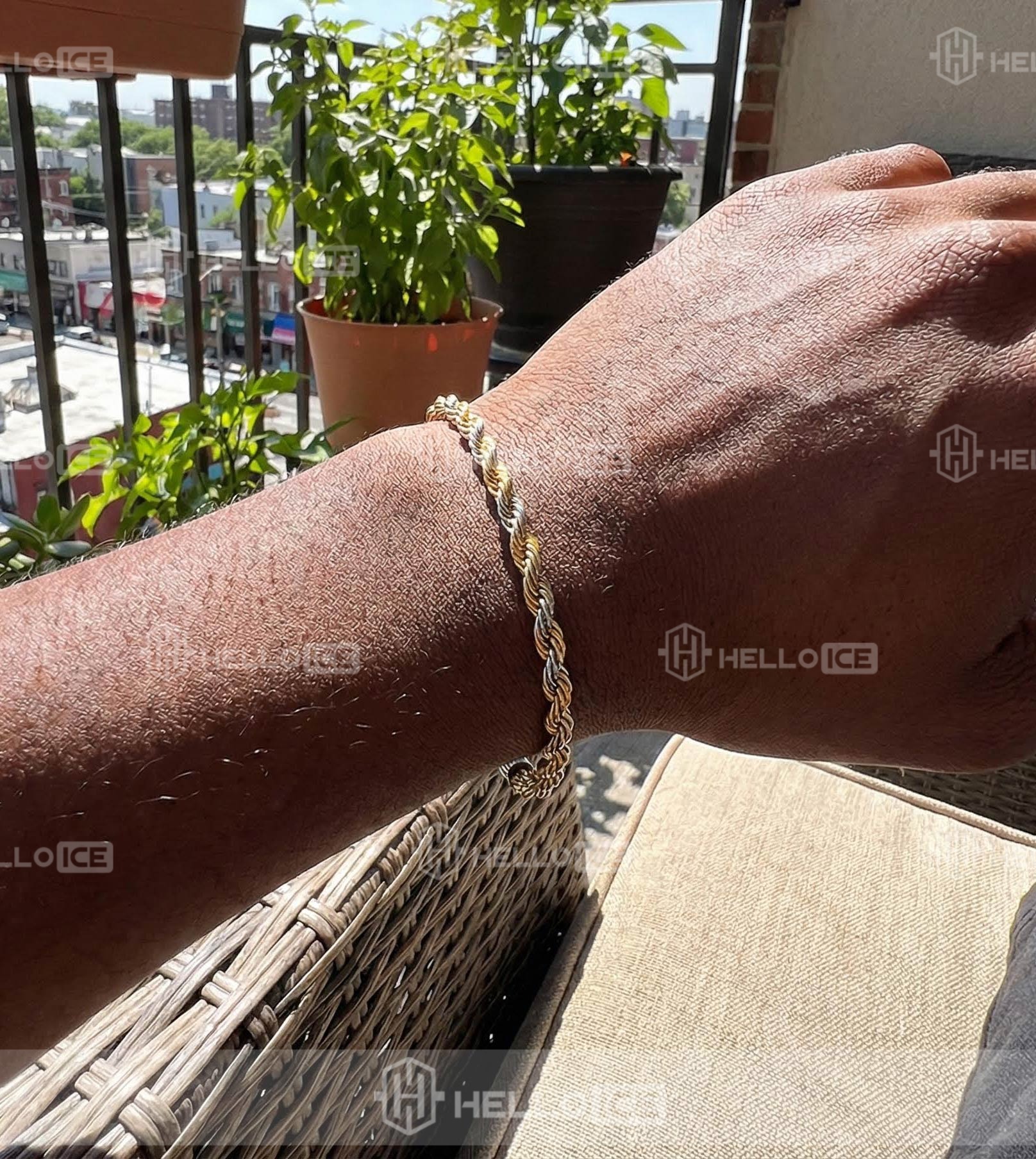 Helloice Review Image