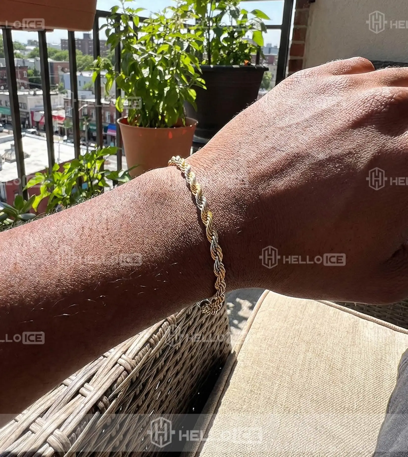 Helloice Review Image