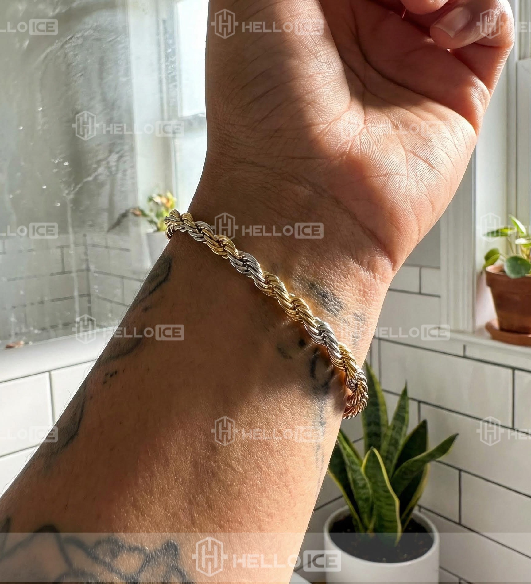 Helloice Review Image