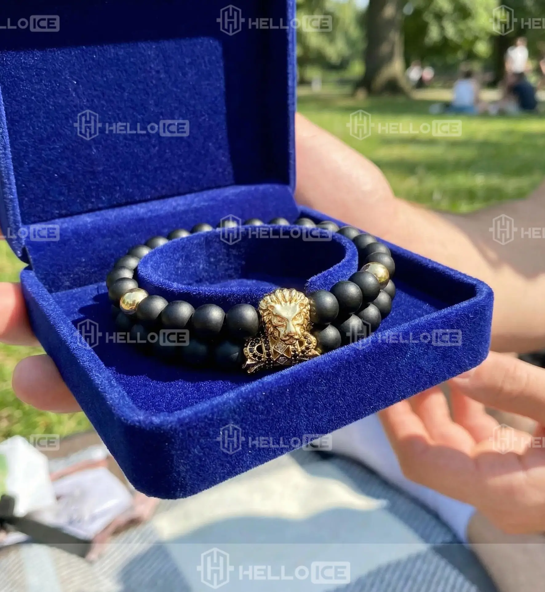 Helloice Review Image