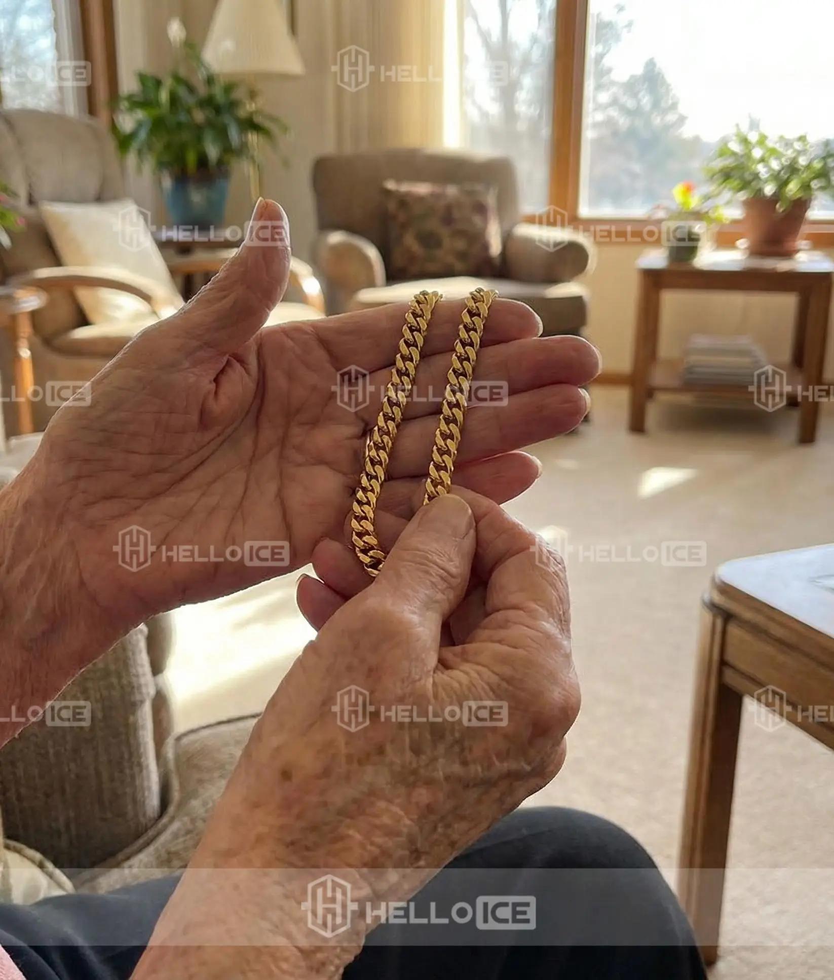 Helloice Review Image