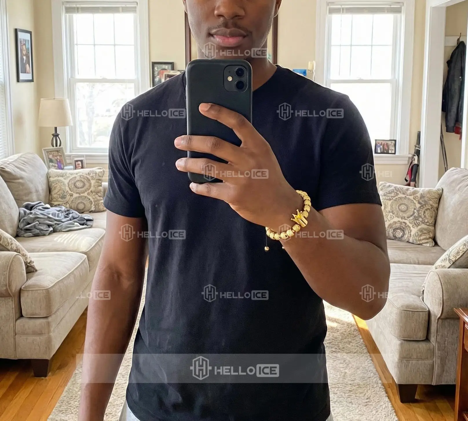 Helloice Review Image