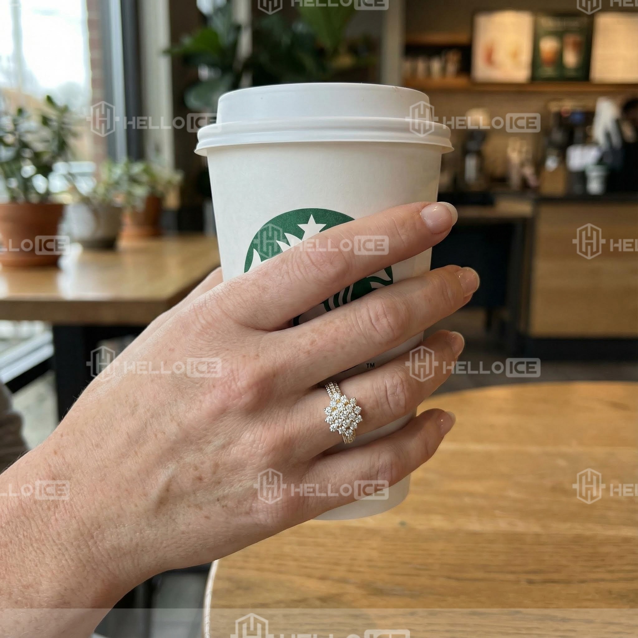 Helloice Review Image