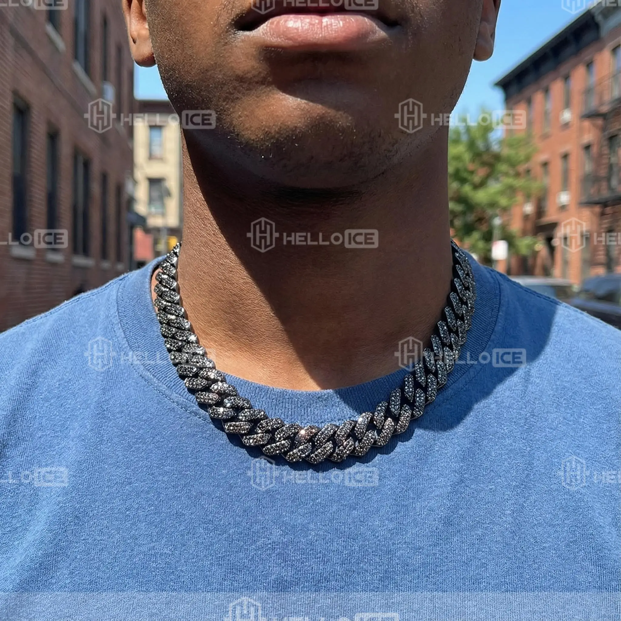 Helloice Review Image