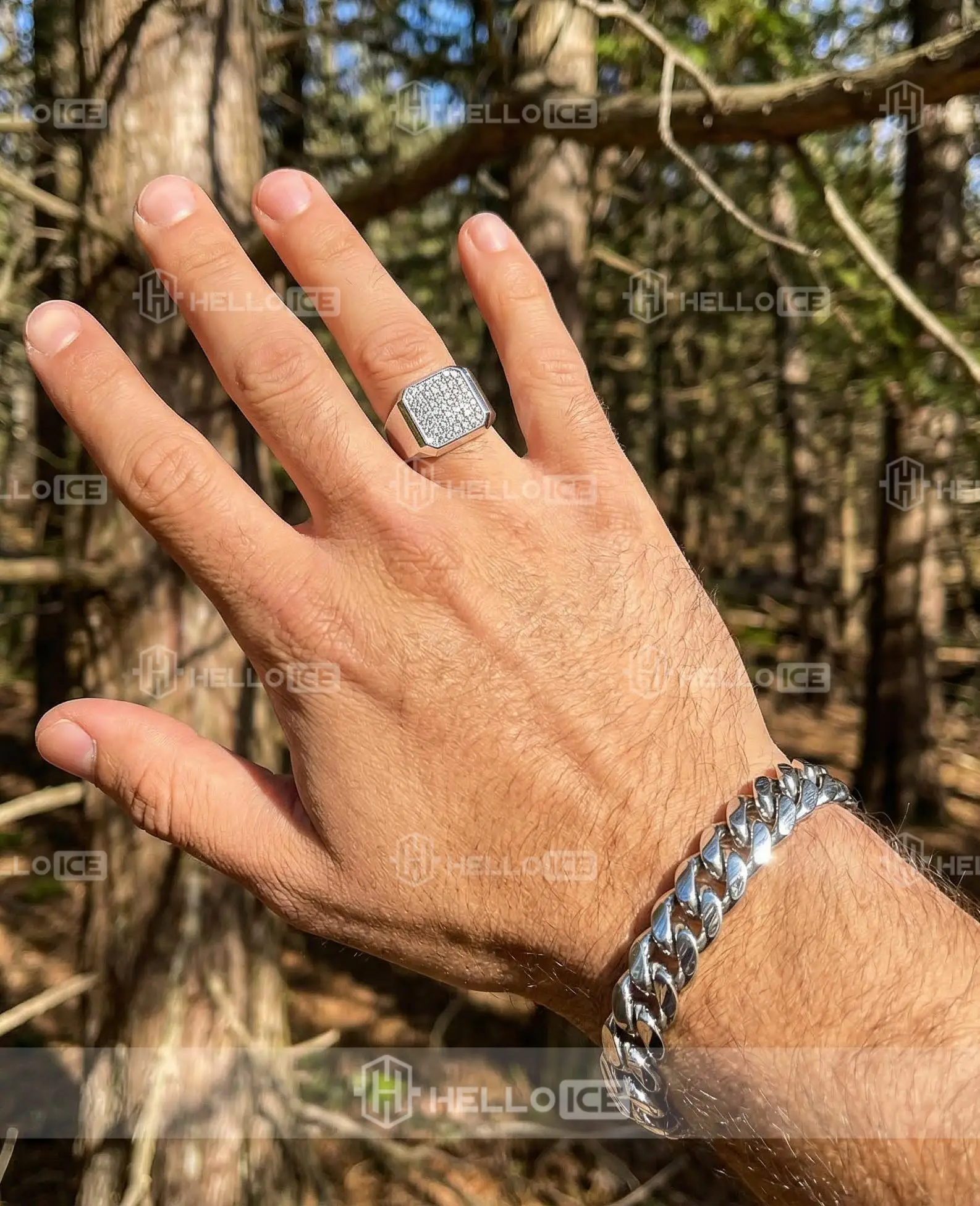 Helloice Review Image