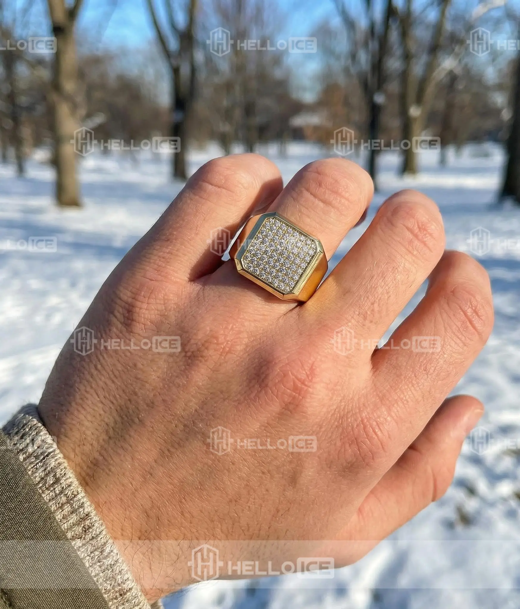 Helloice Review Image