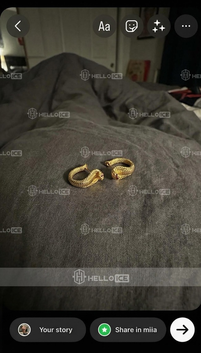 Helloice Review Image