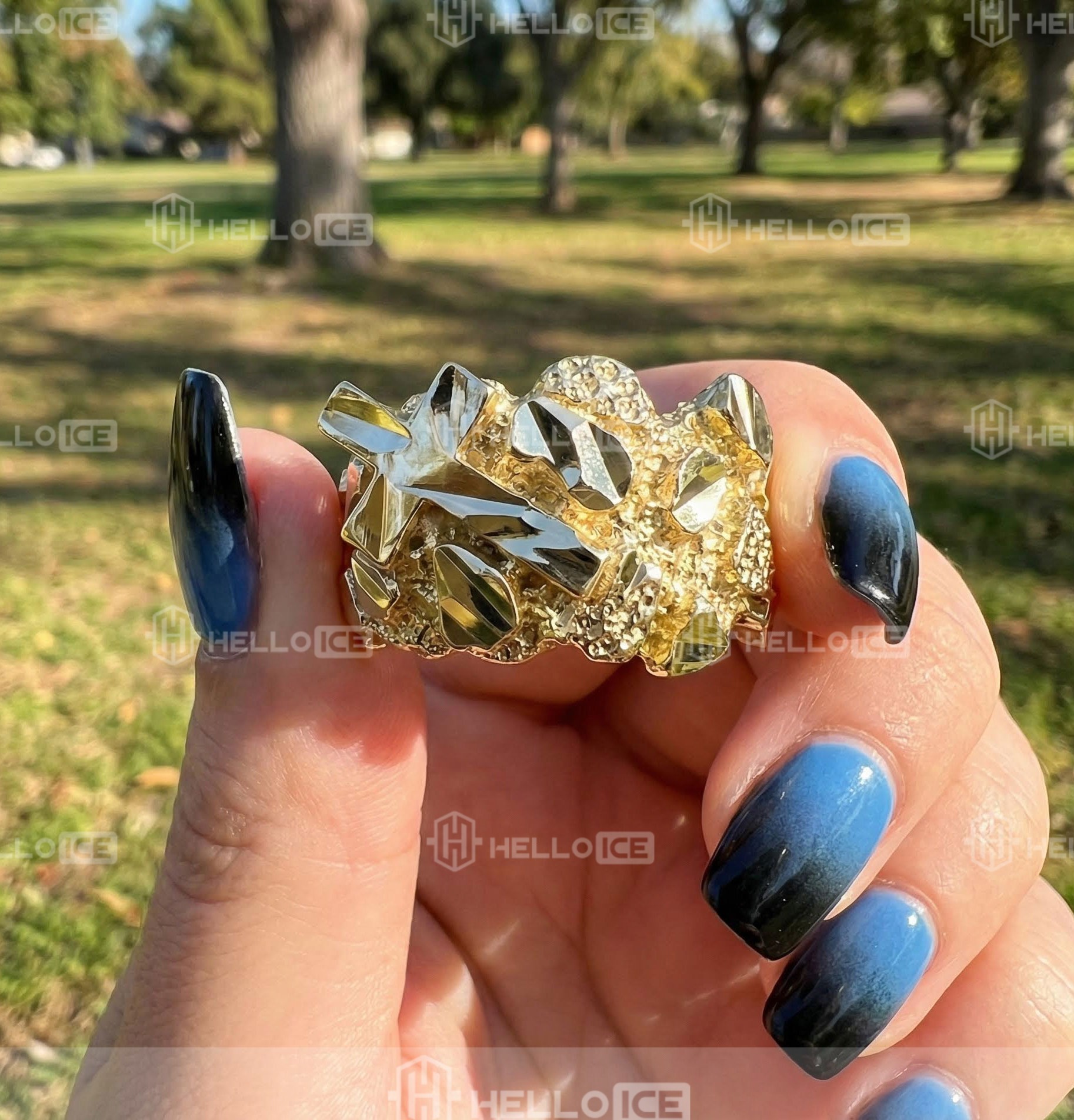 Helloice Review Image