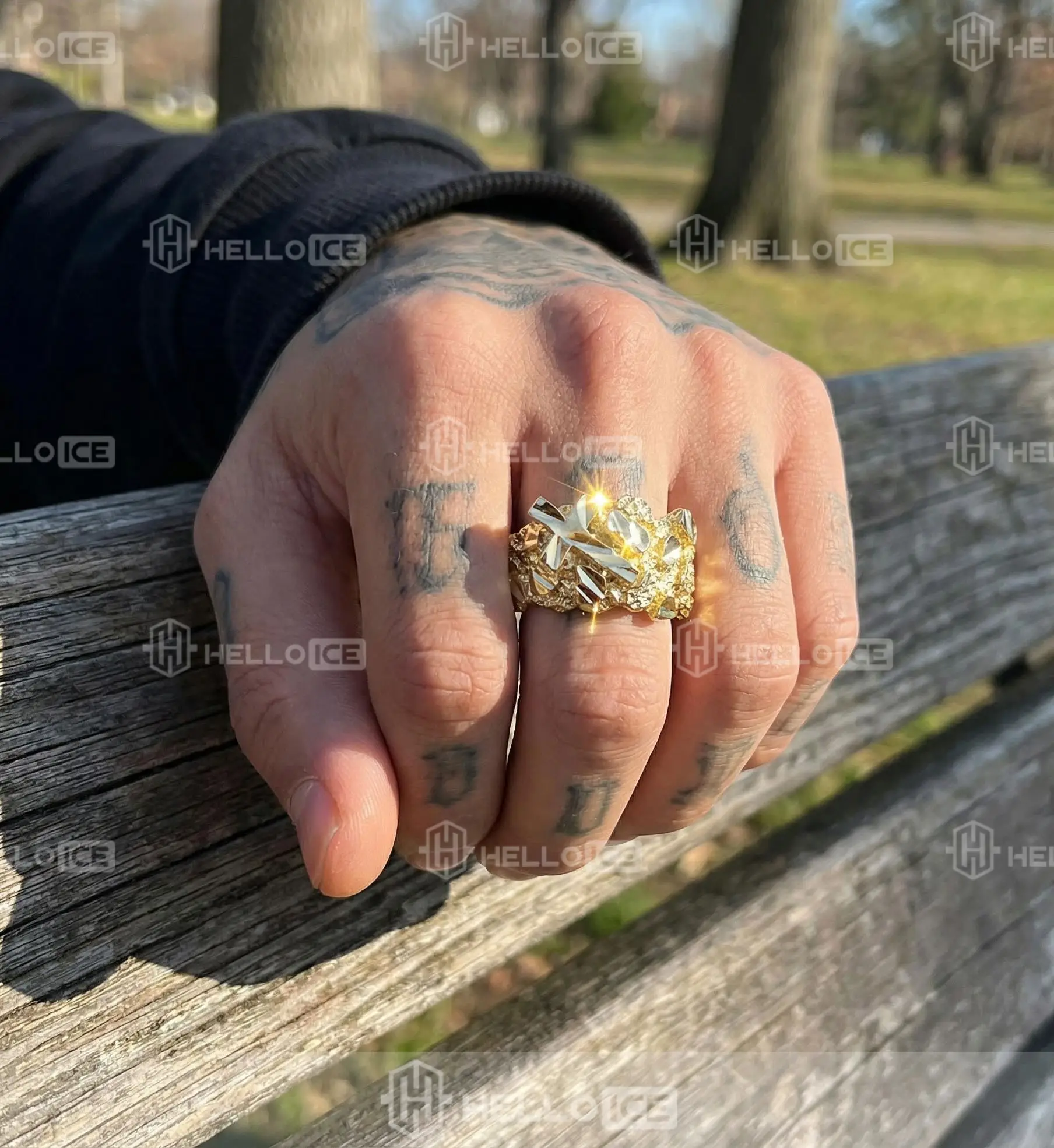 Helloice Review Image