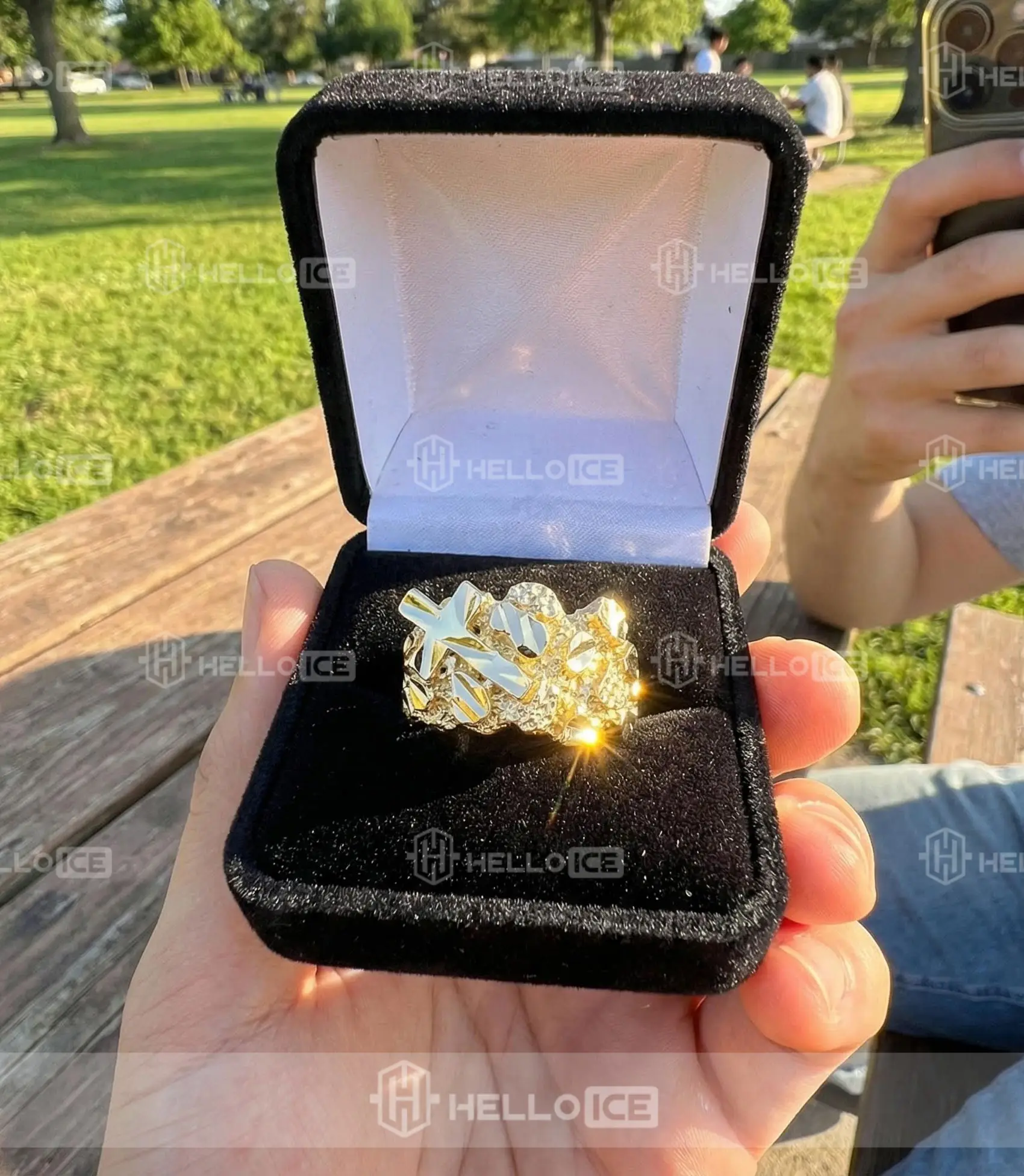 Helloice Review Image