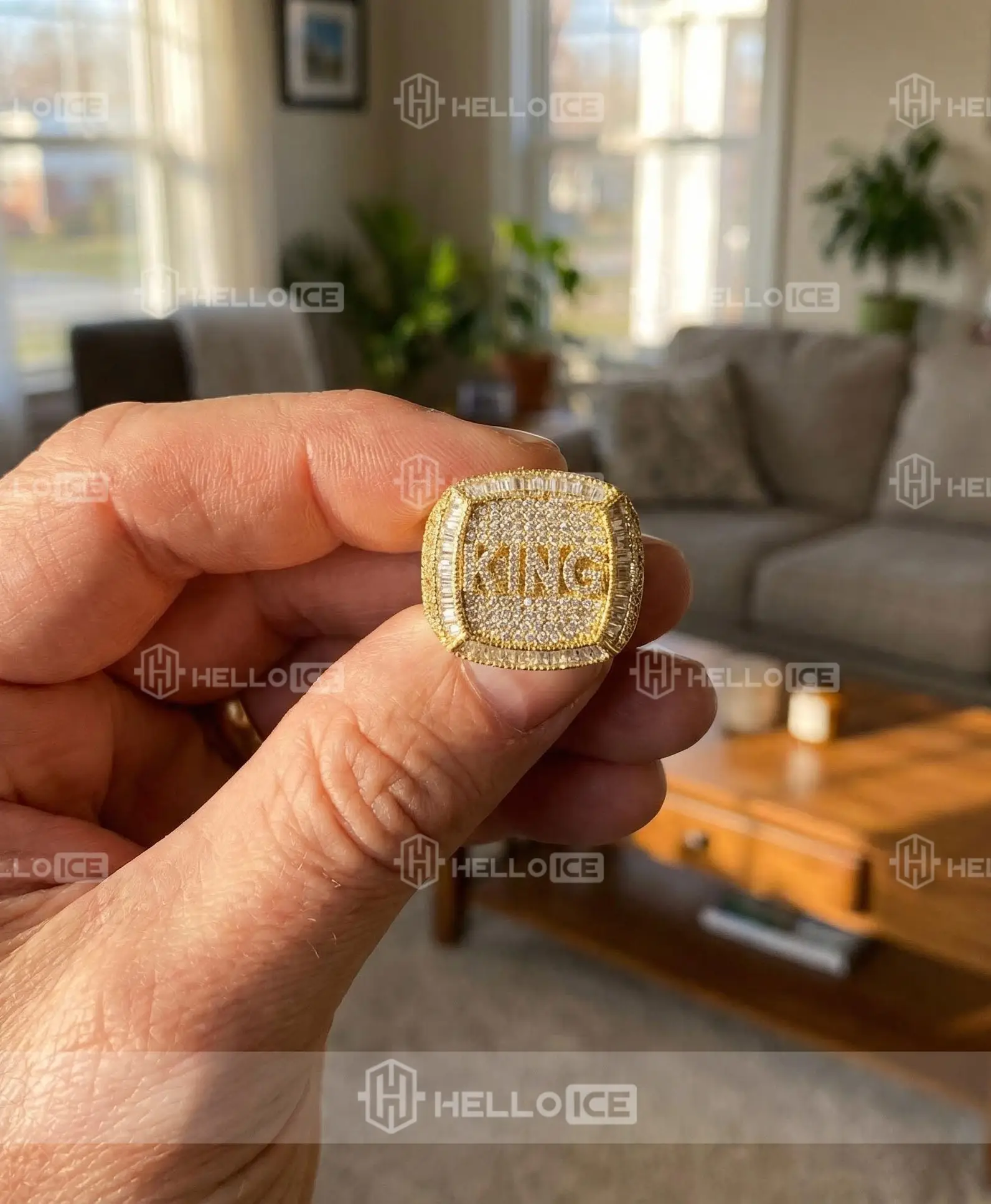 Helloice Review Image