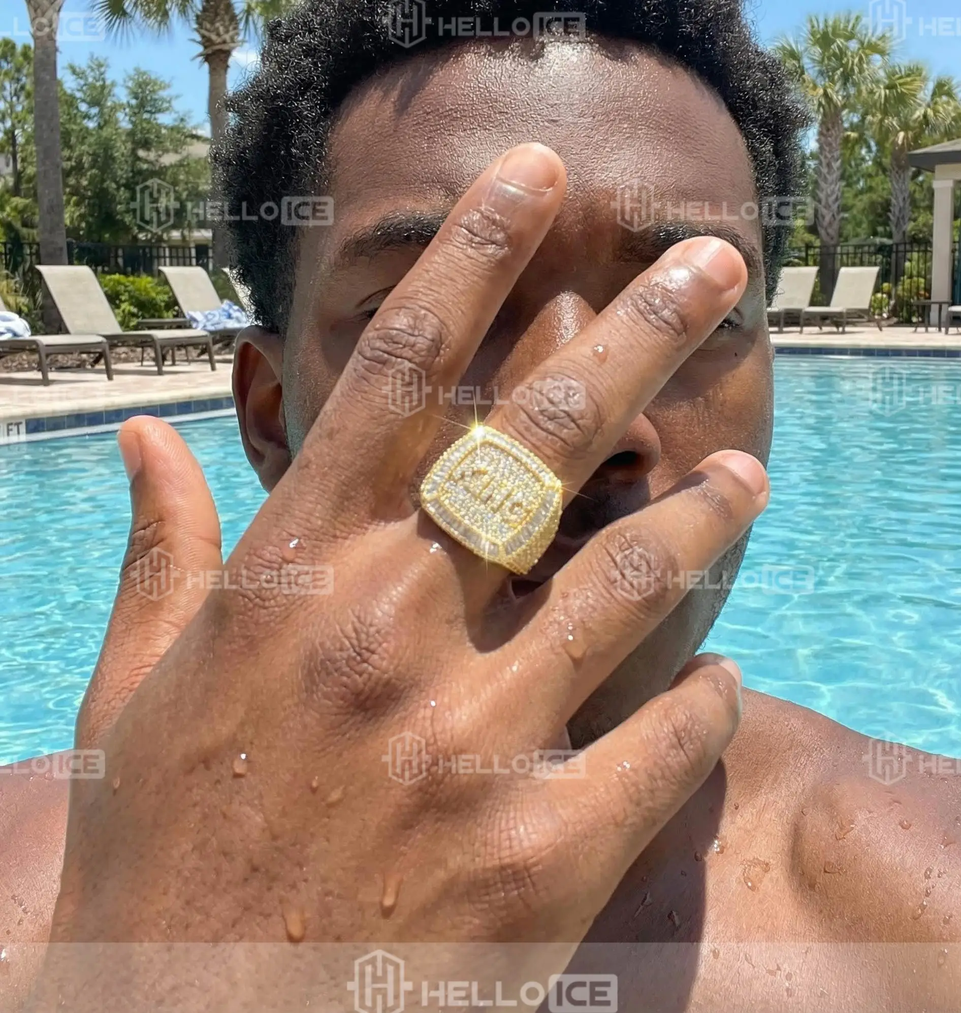 Helloice Review Image