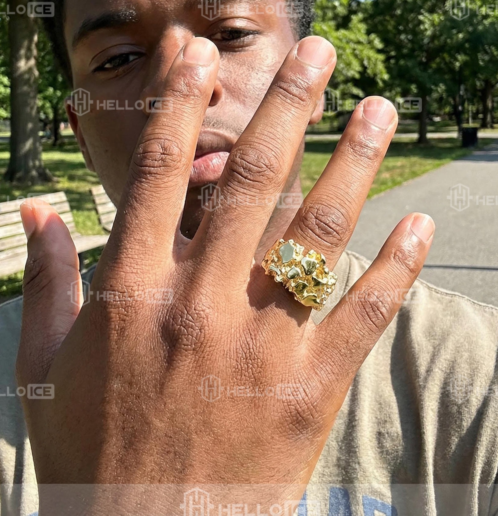 Helloice Review Image