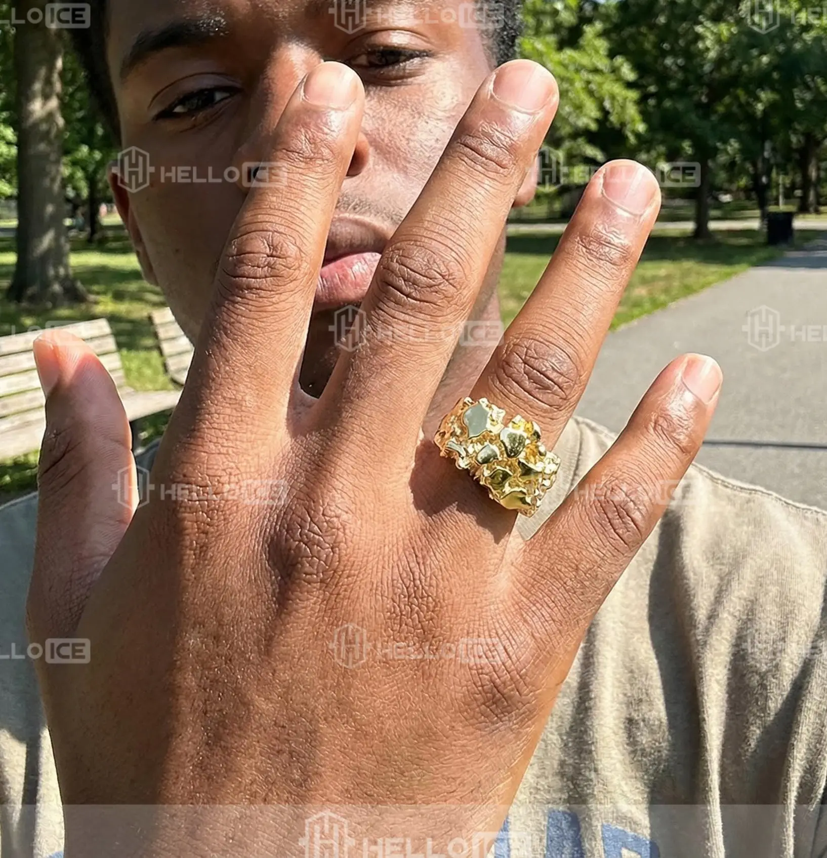 Helloice Review Image