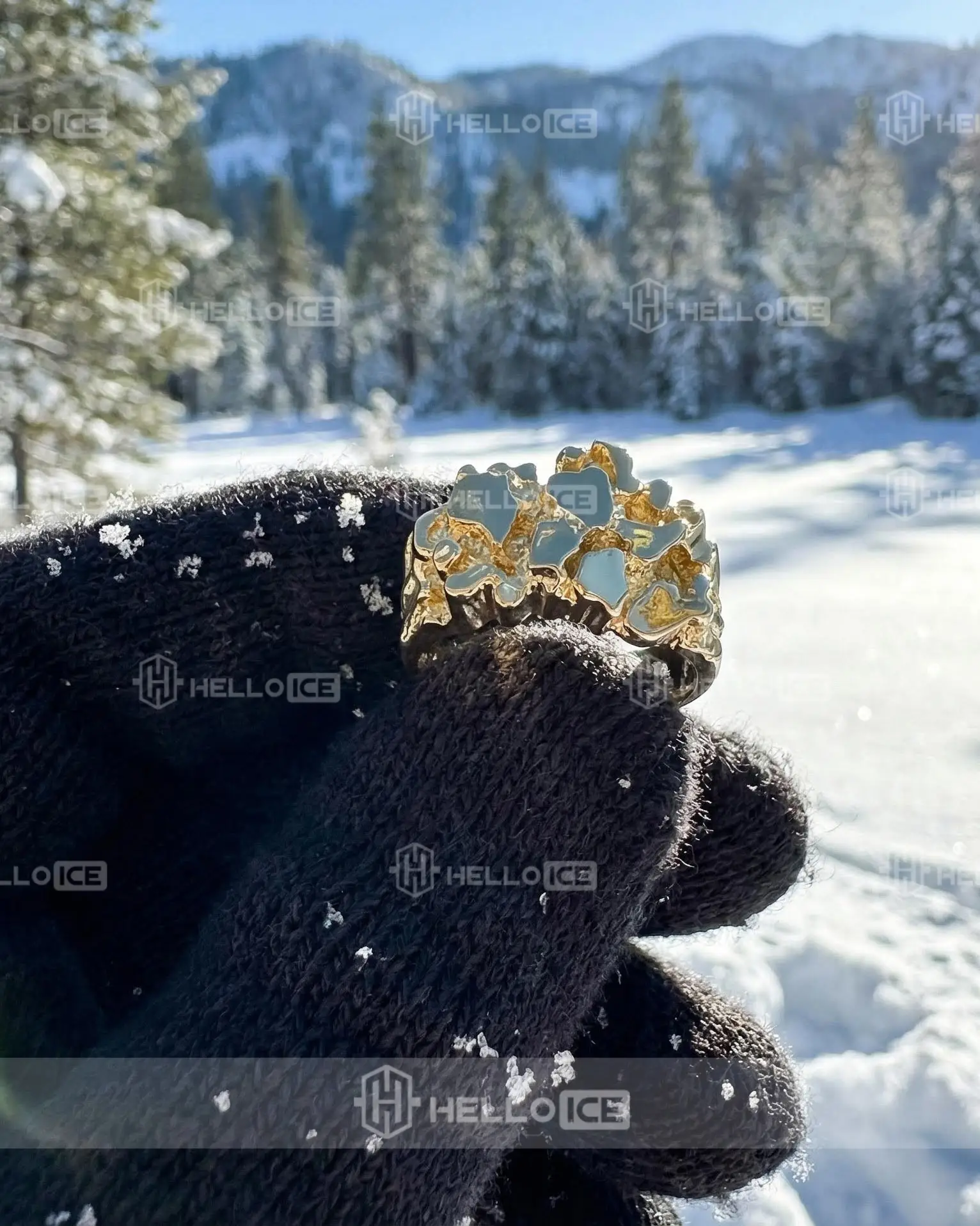 Helloice Review Image