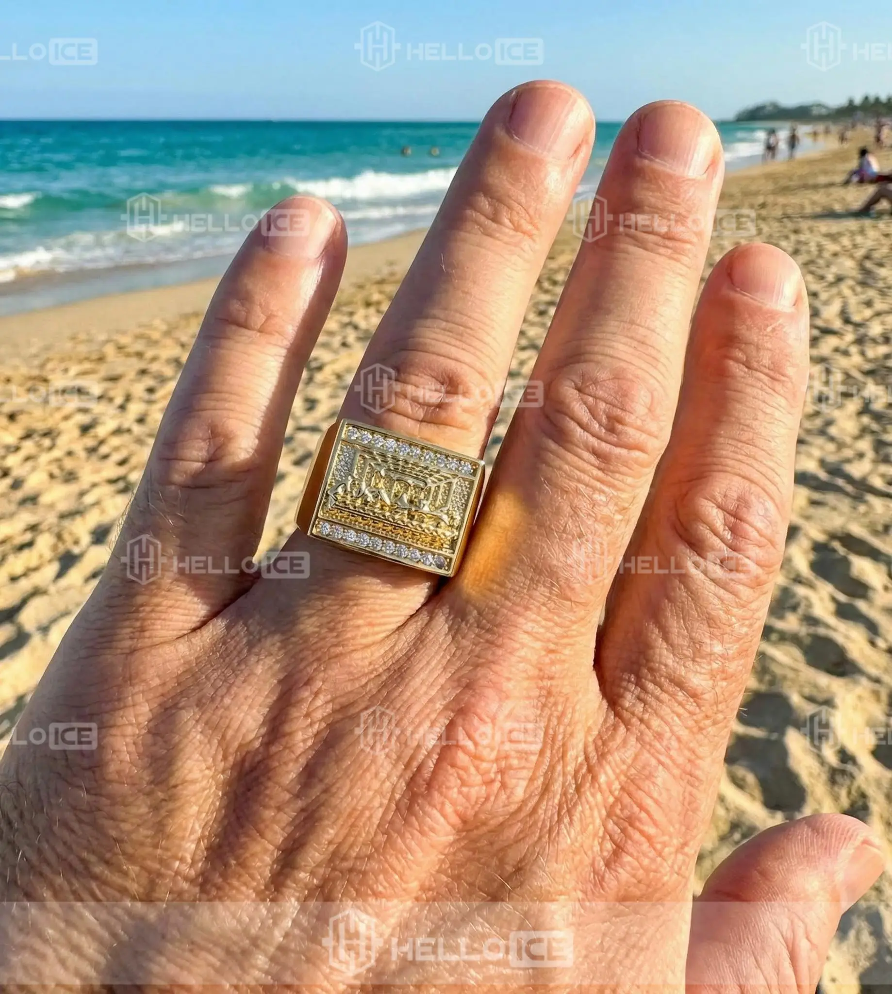 Helloice Review Image