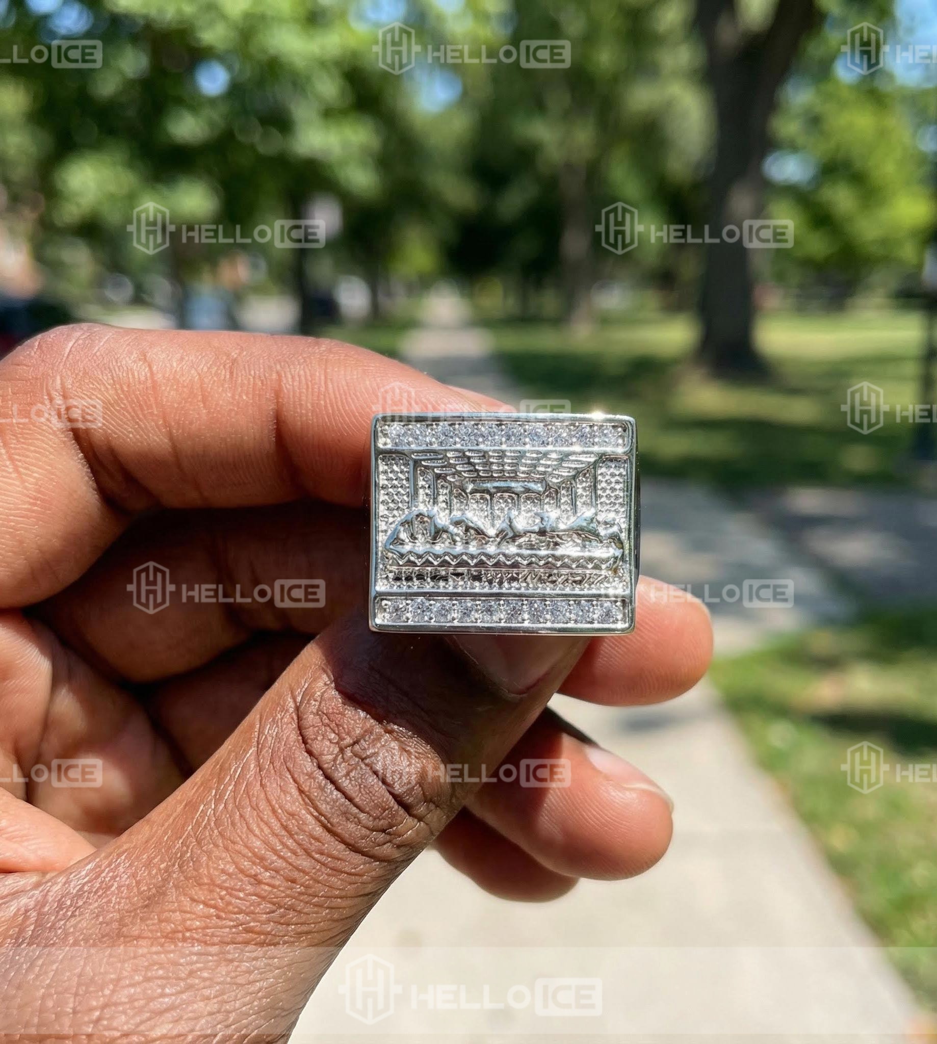 Helloice Review Image