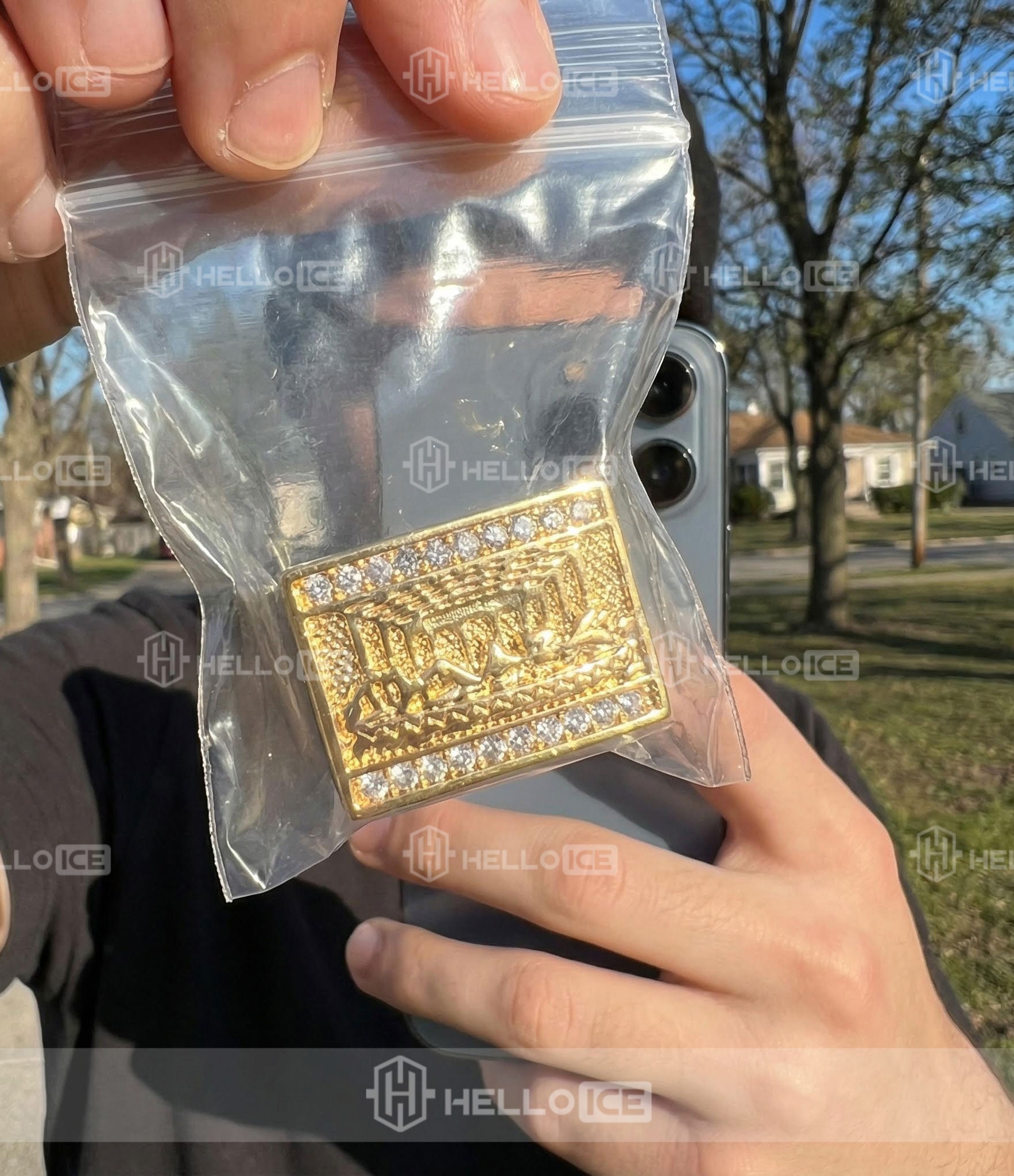 Helloice Review Image