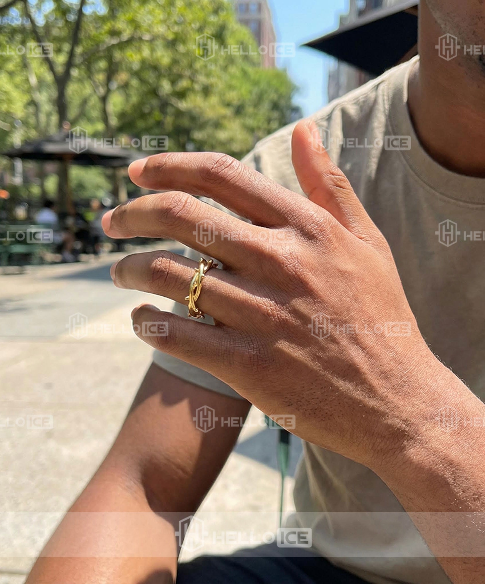 Helloice Review Image