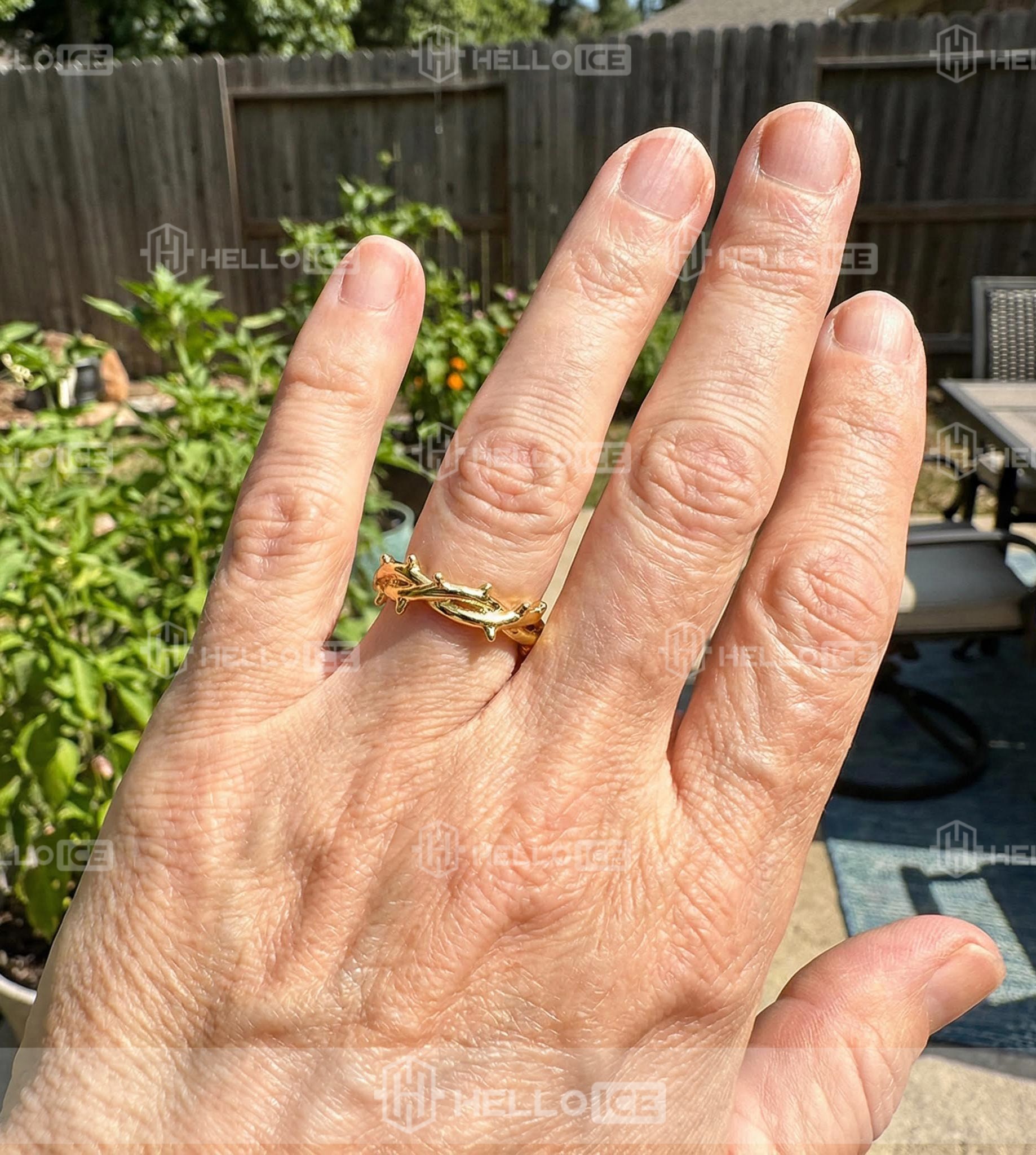 Helloice Review Image