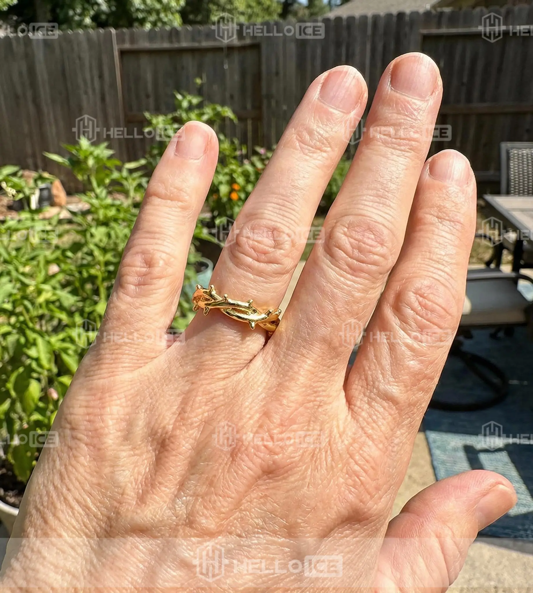 Helloice Review Image