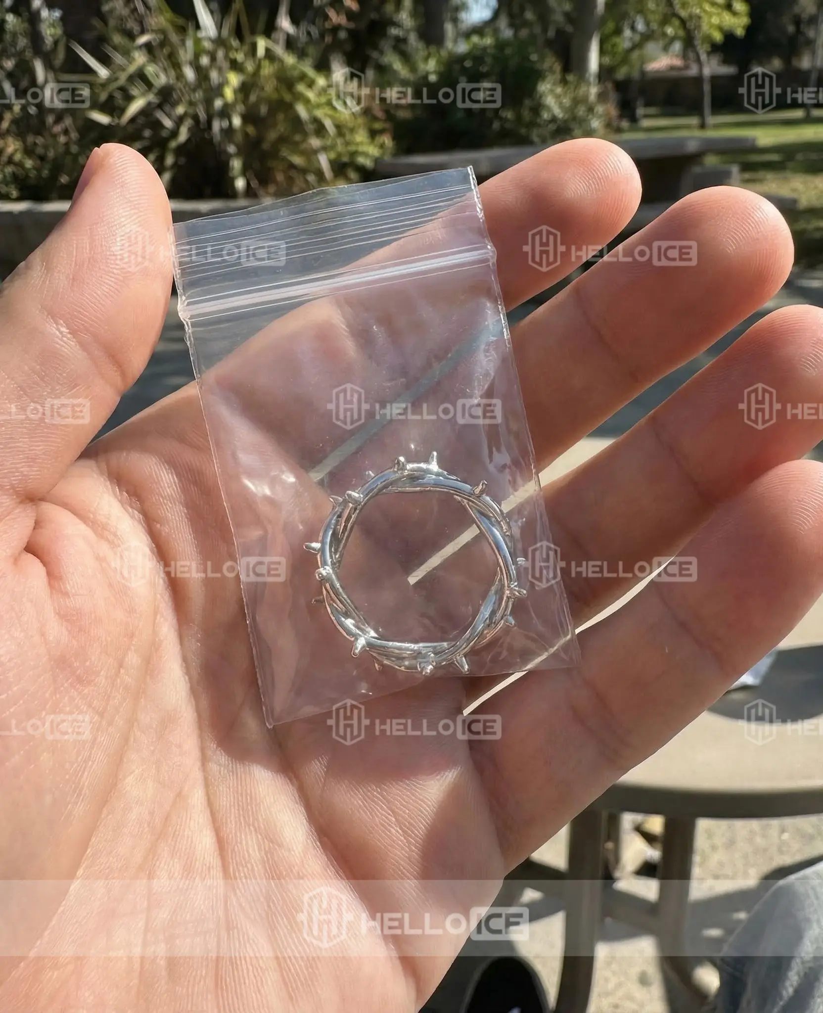 Helloice Review Image