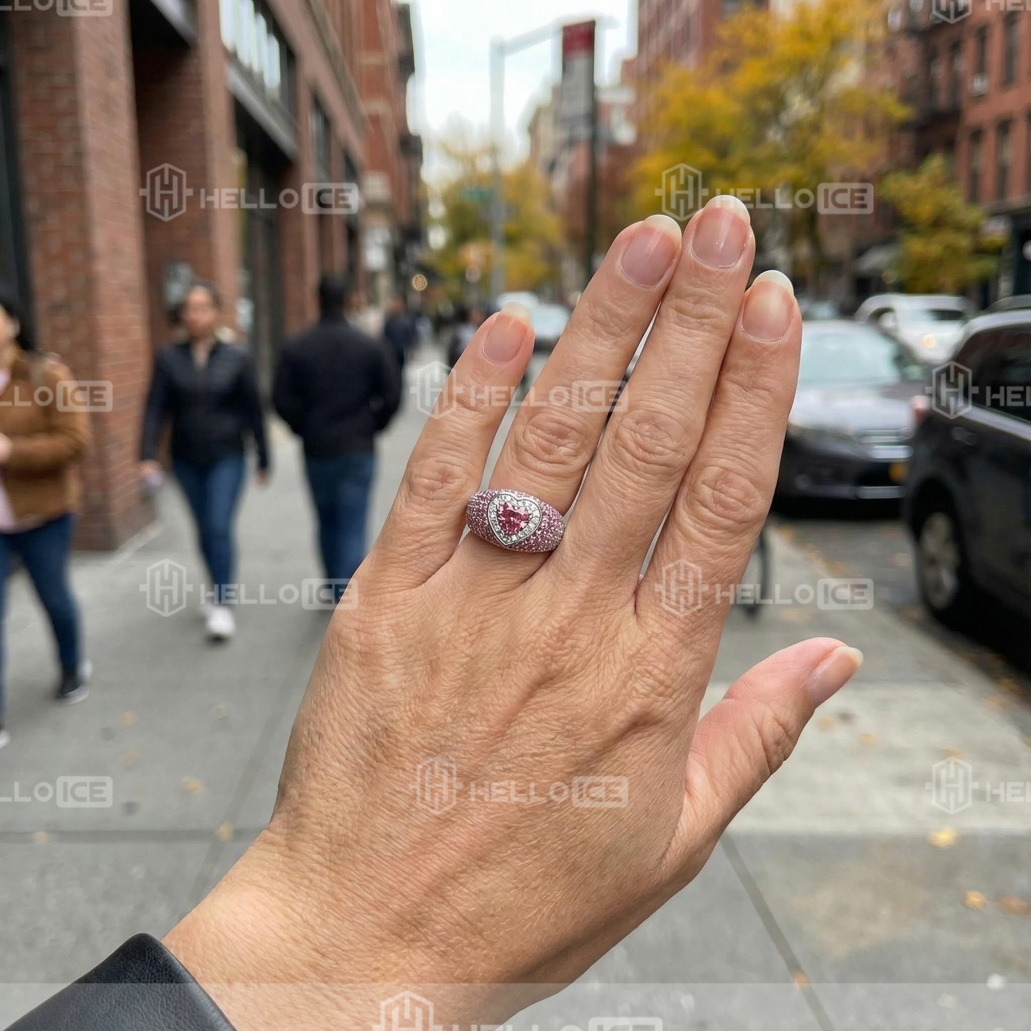 Helloice Review Image