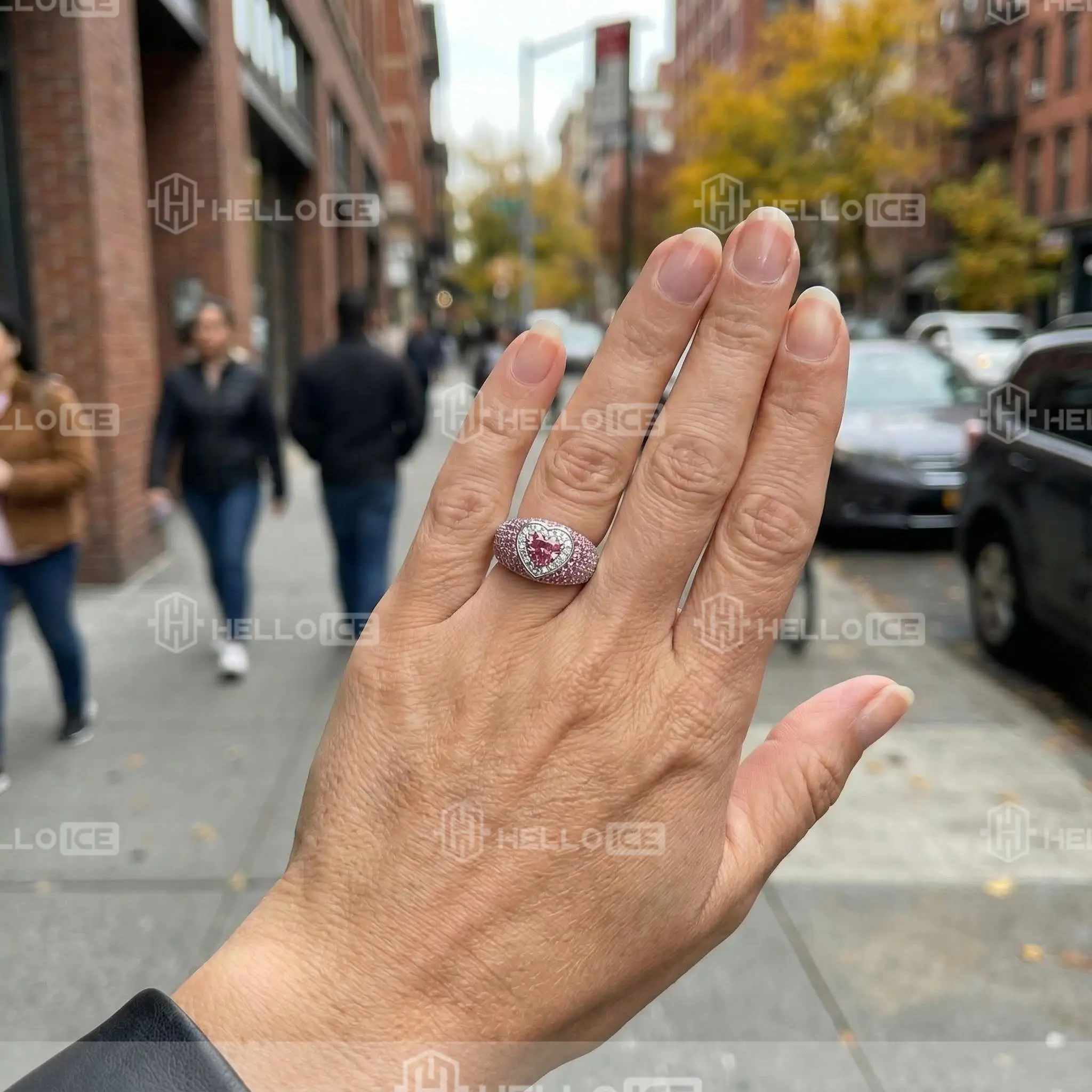 Helloice Review Image