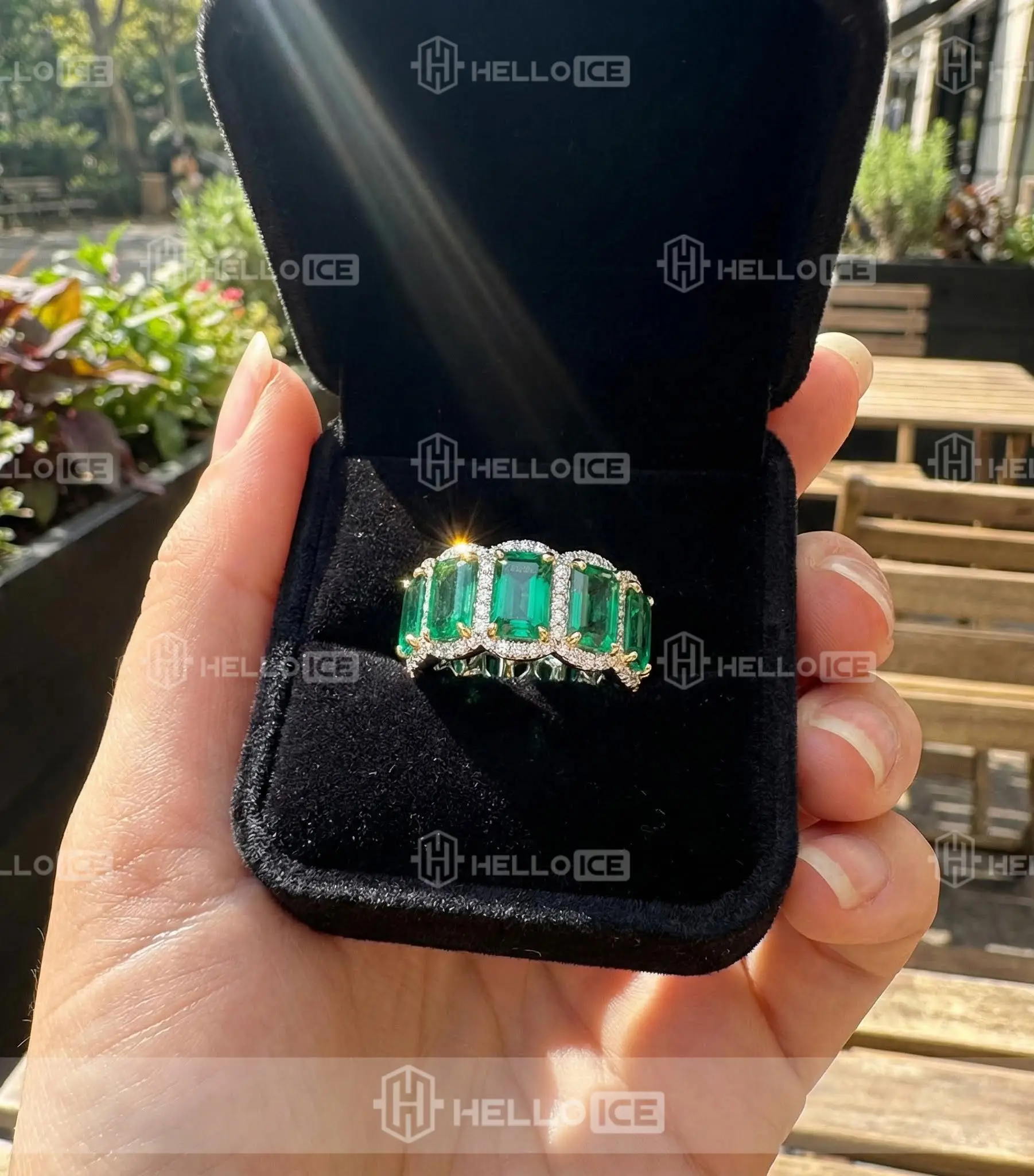 Helloice Review Image