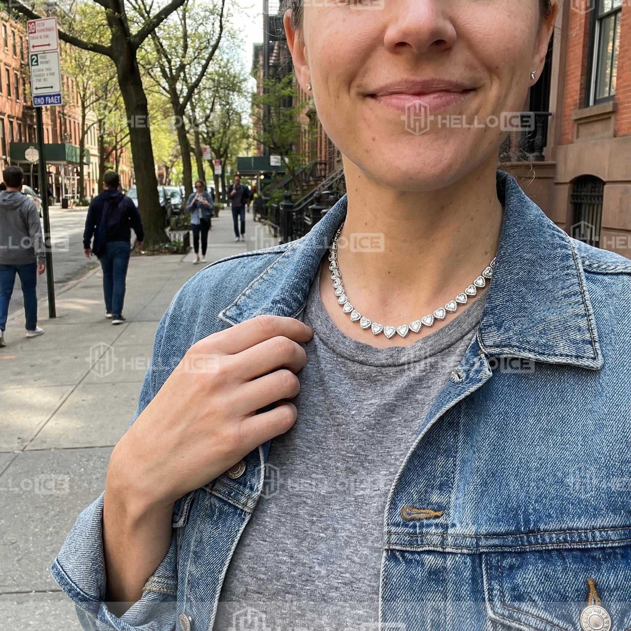 Helloice Review Image