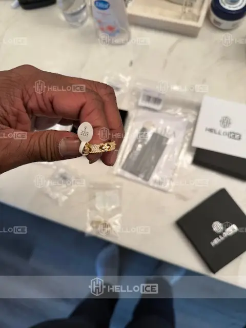 Helloice Review Image