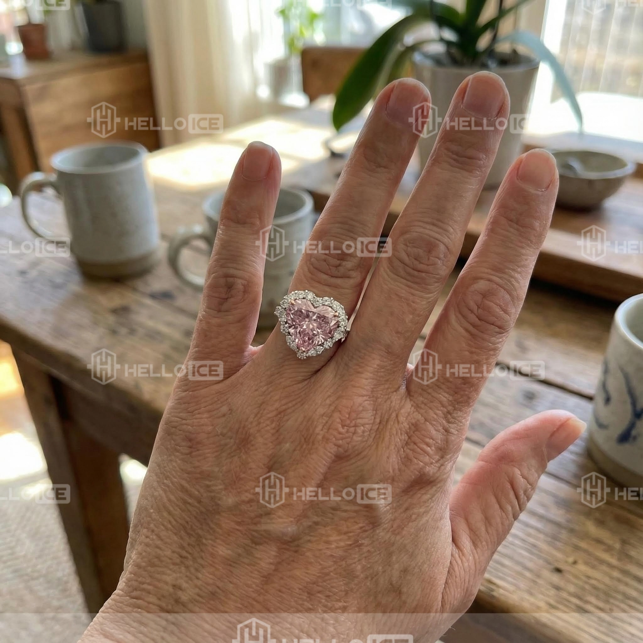 Helloice Review Image