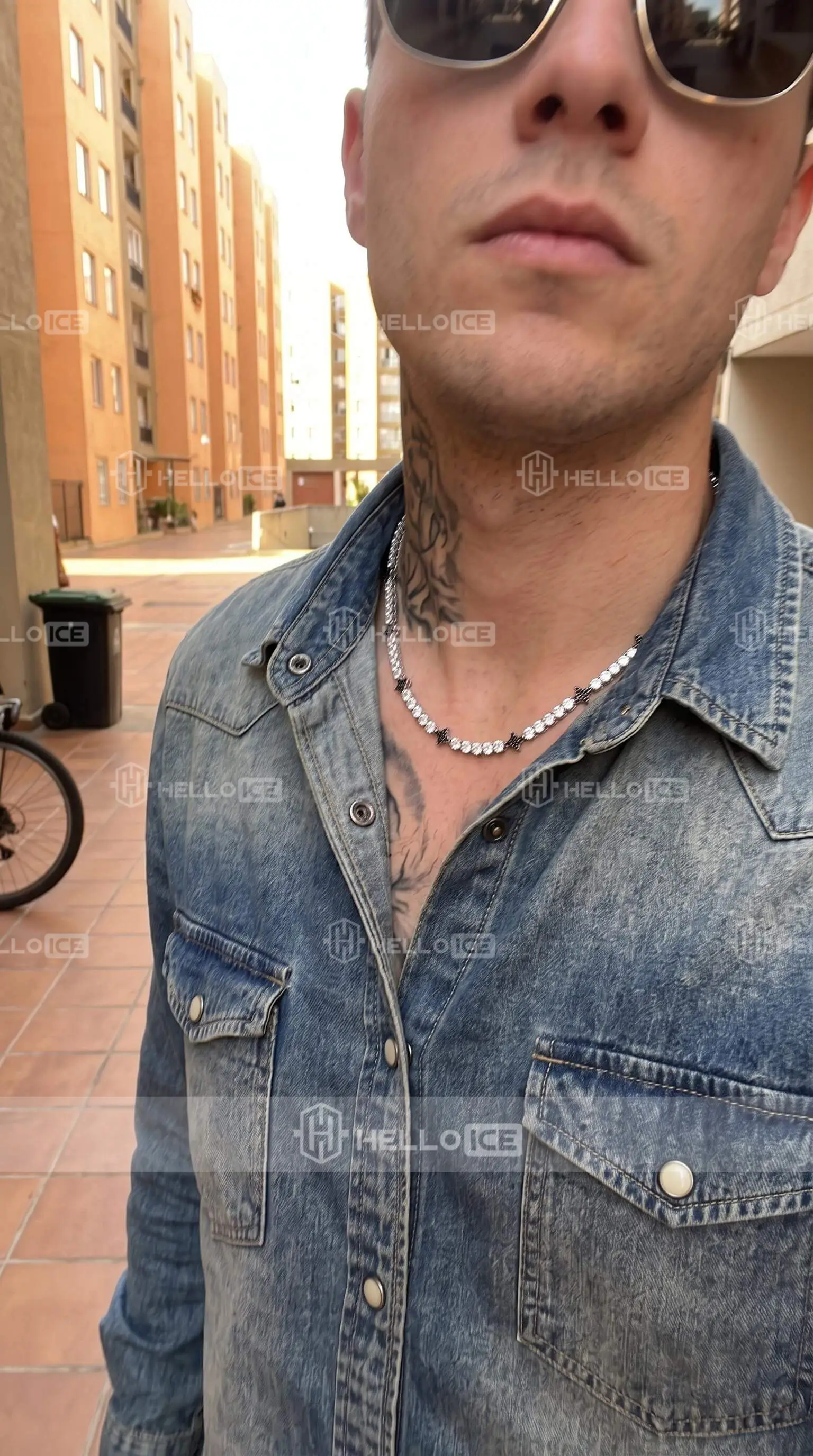 Helloice Review Image