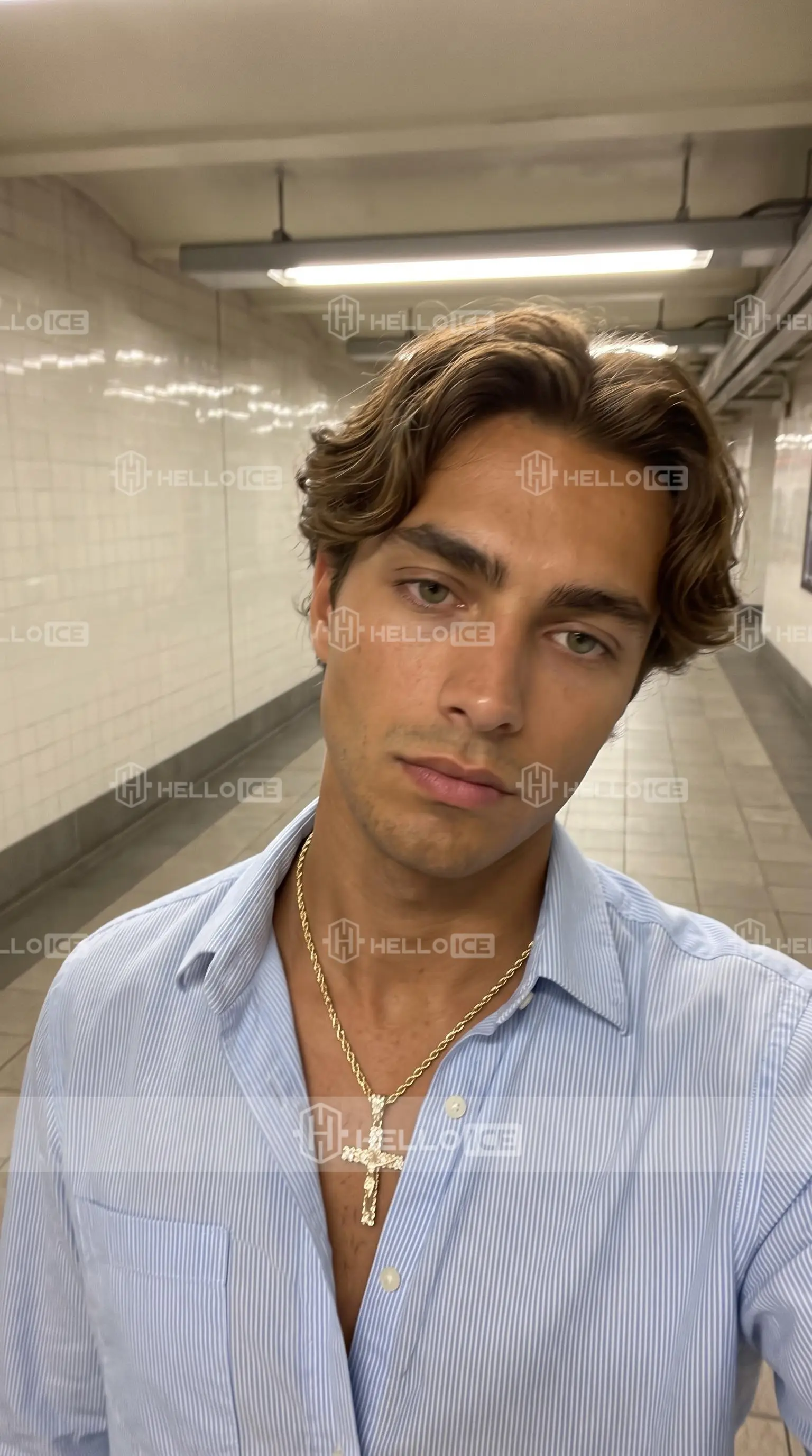 Helloice Review Image