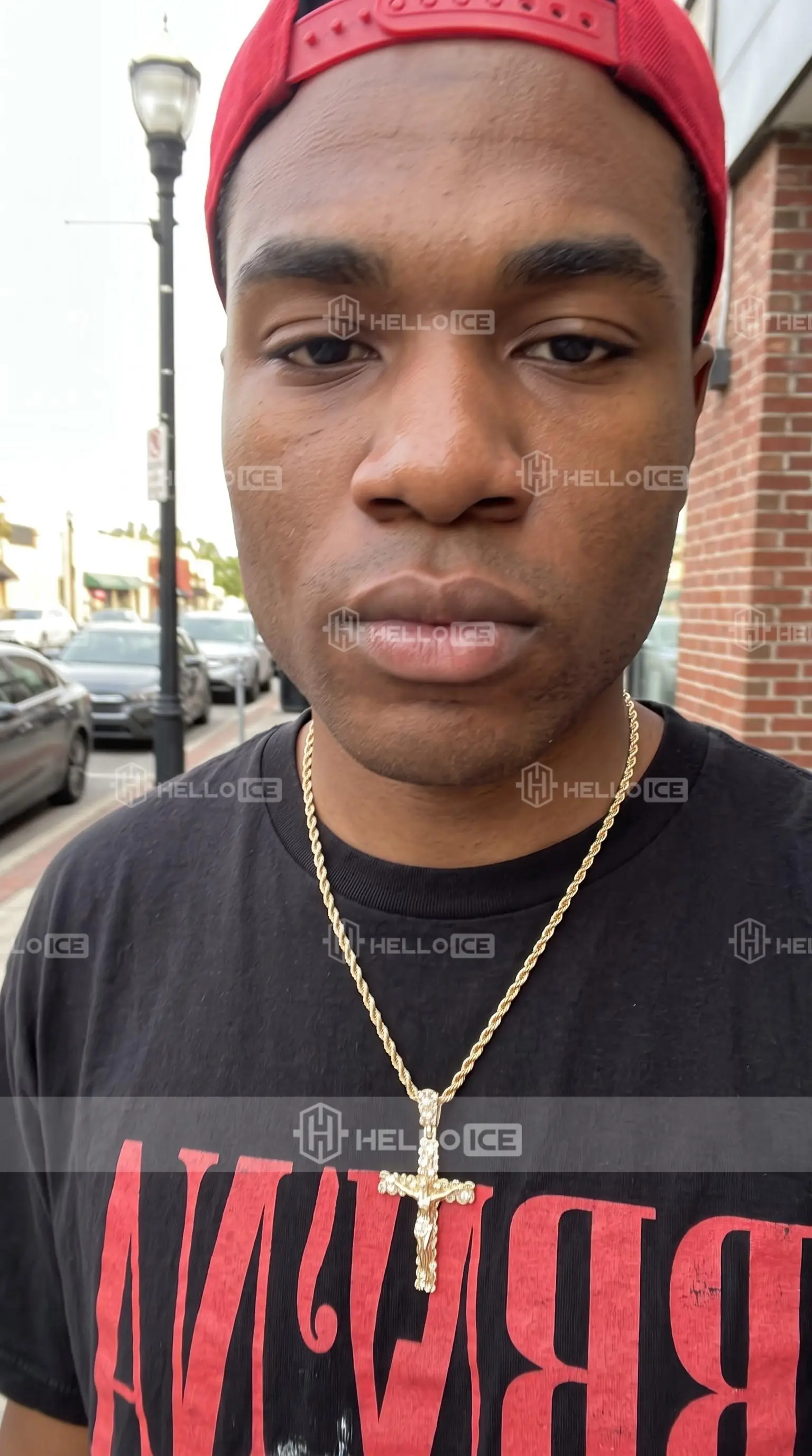 Helloice Review Image