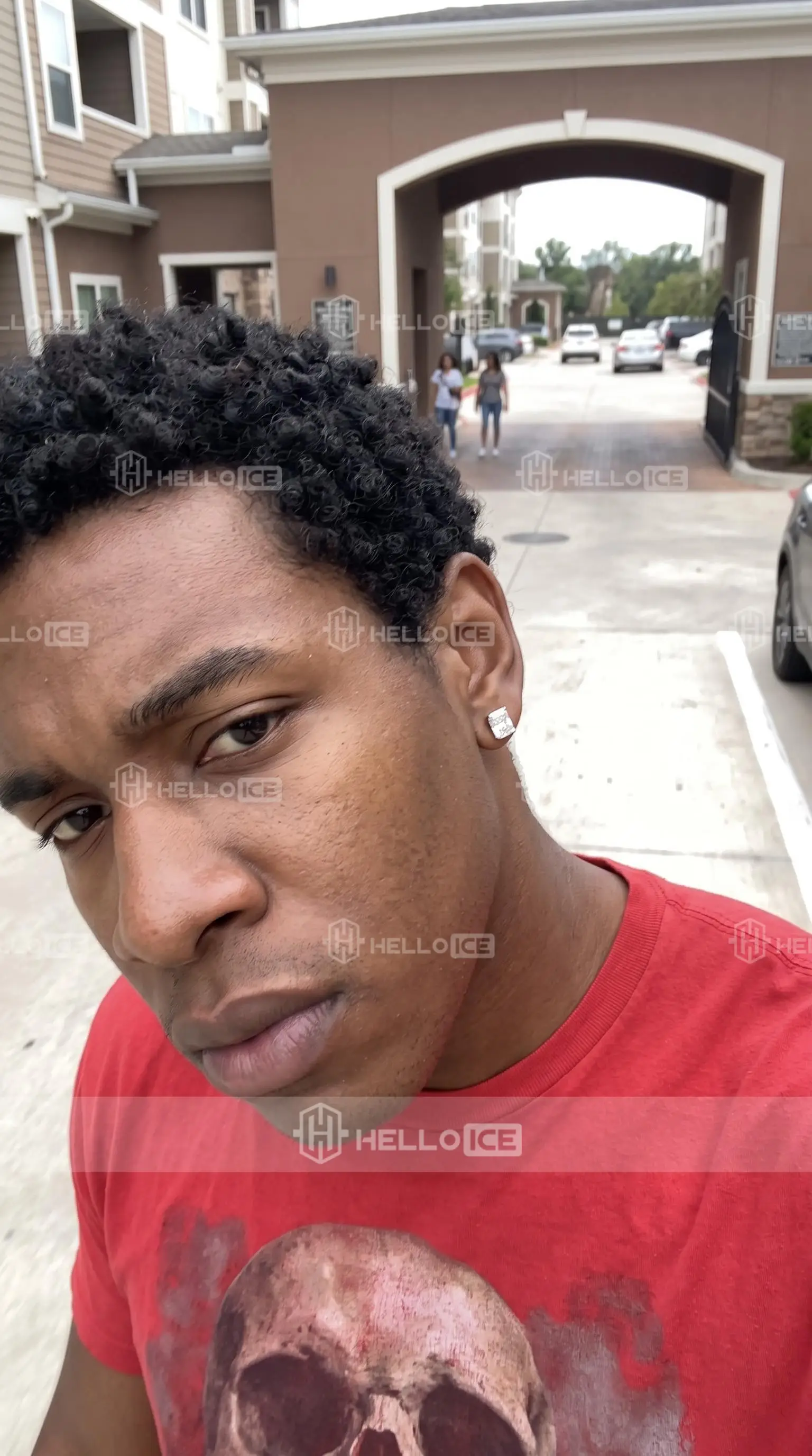 Helloice Review Image