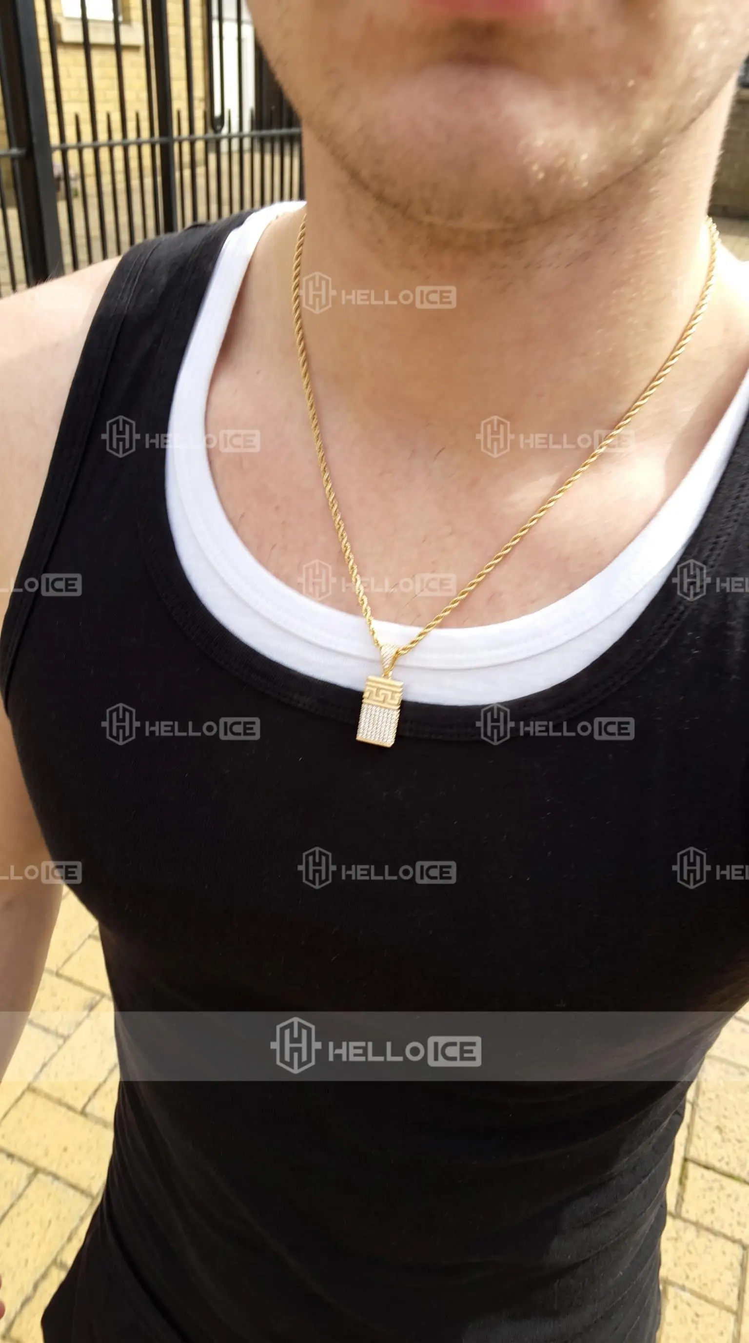 Helloice Review Image